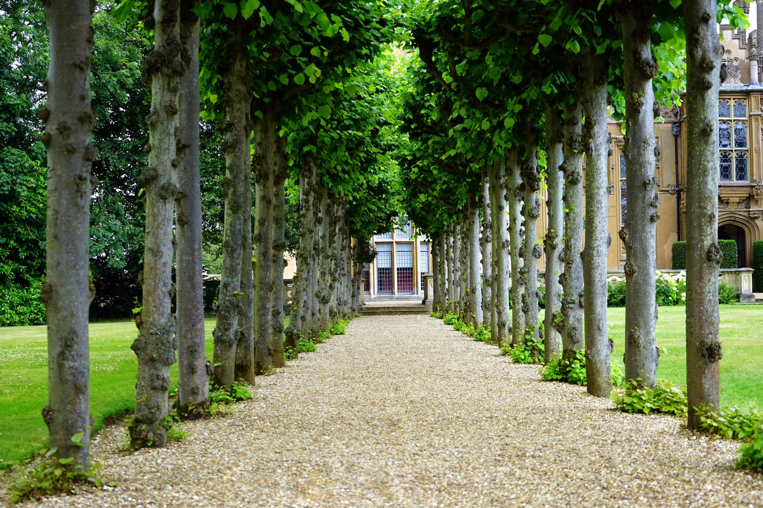 Estate Planning / Preservation of Wealth