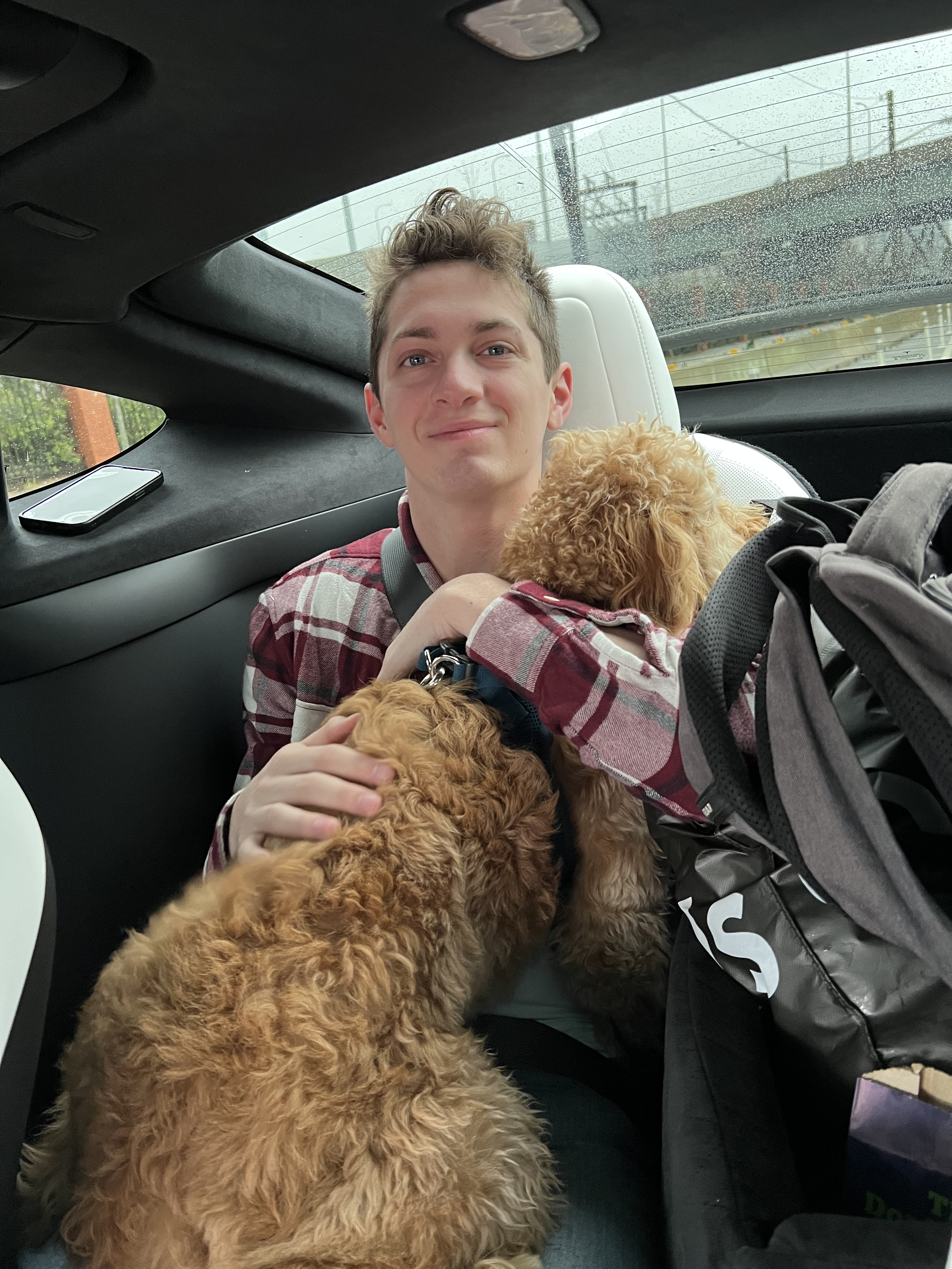A young man smiling in a car with two adorable brown curly dogs, one on his lap and one partially visible, surrounded by bags and backpack, with rainy weather outside.