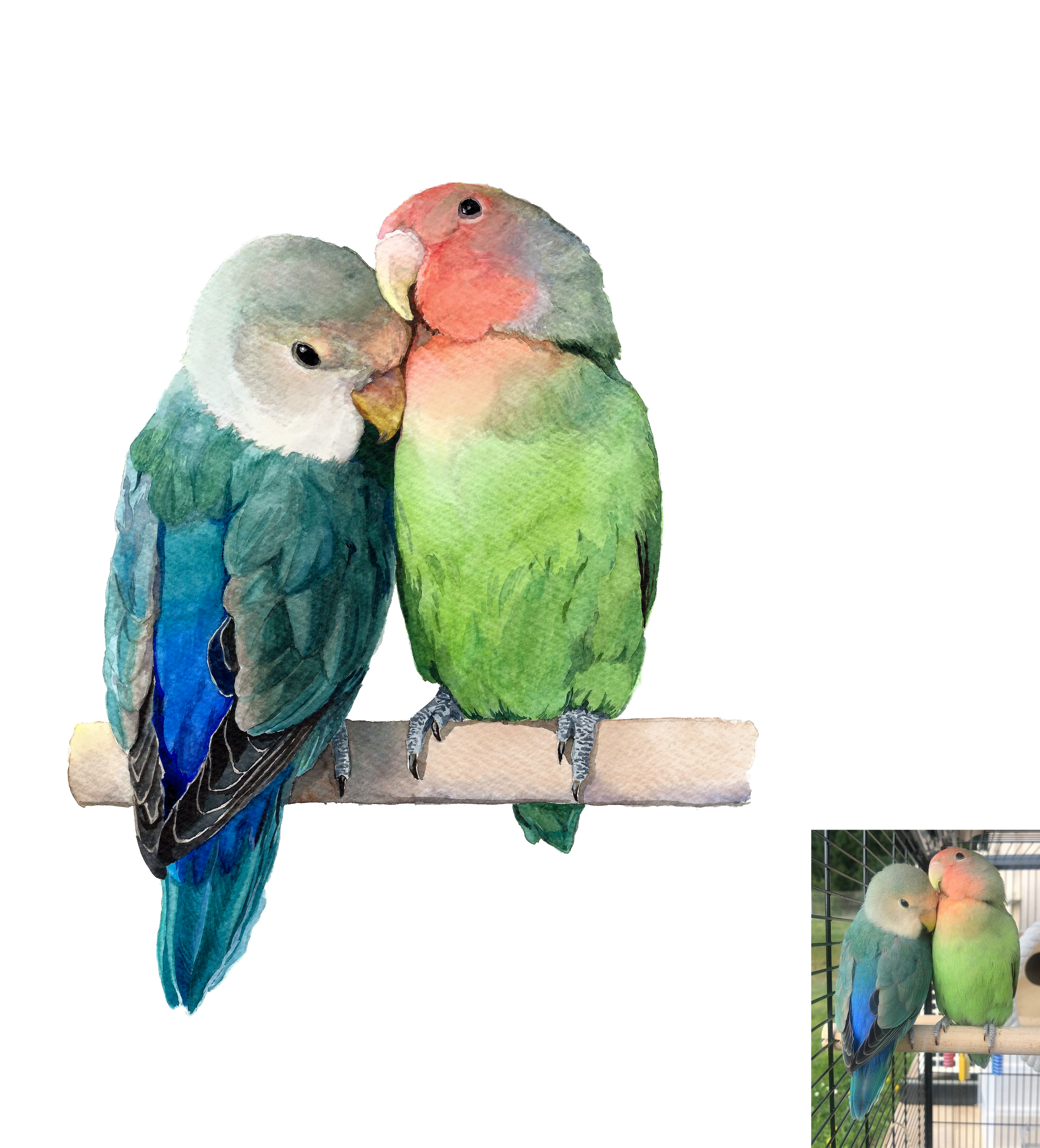 birds smaller.png
