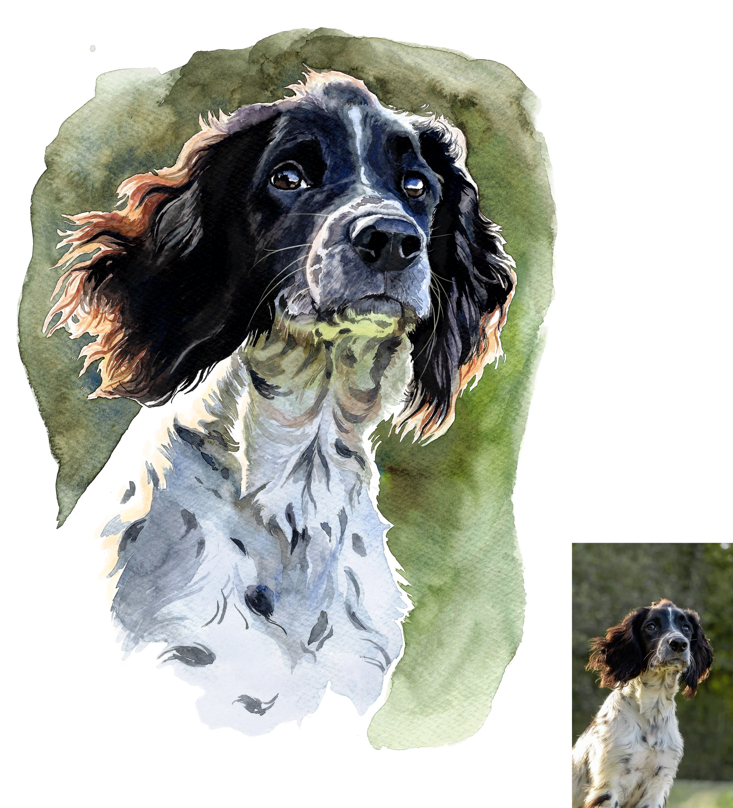fluffy 4.png