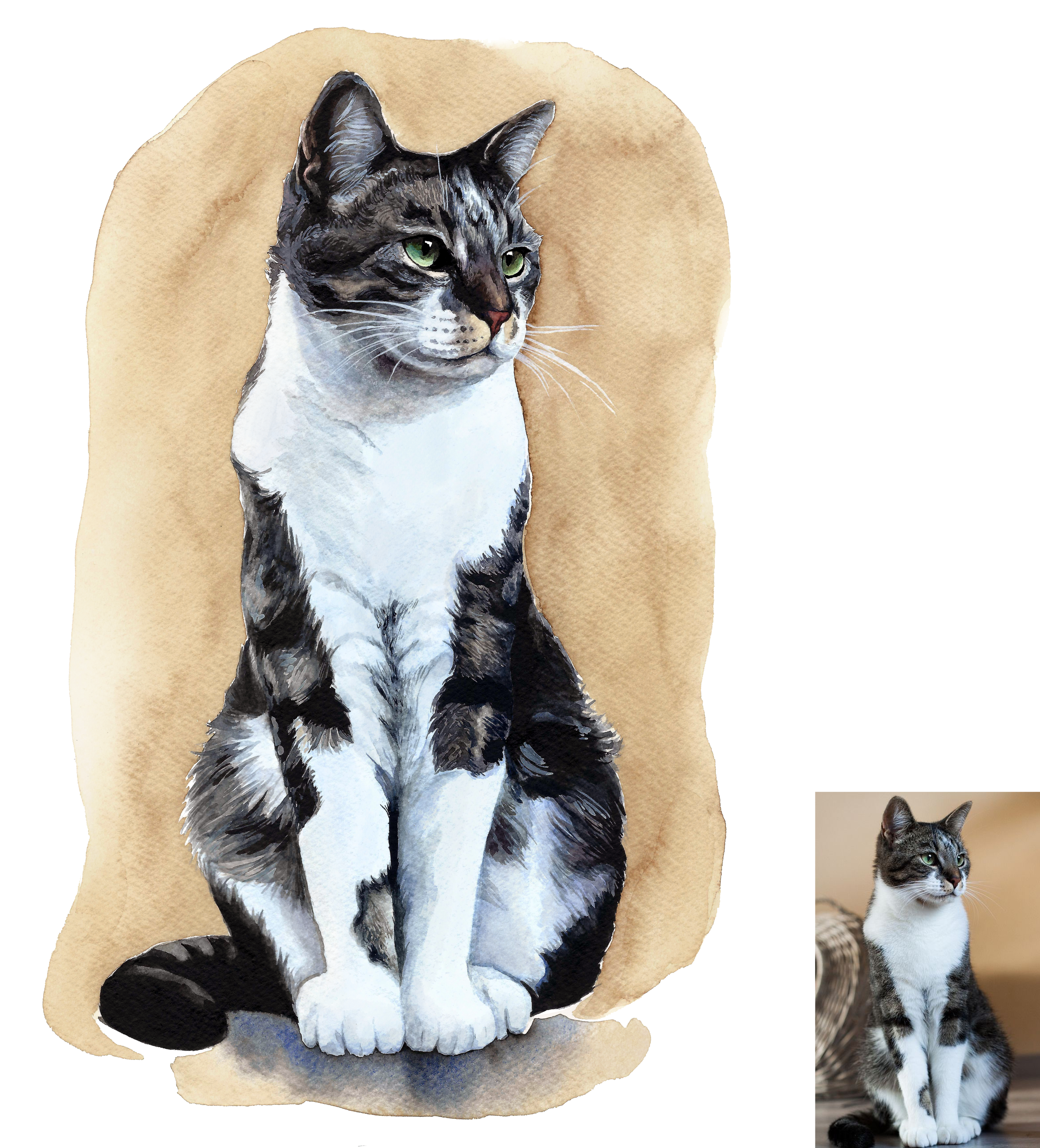 cat 1 smaller.png
