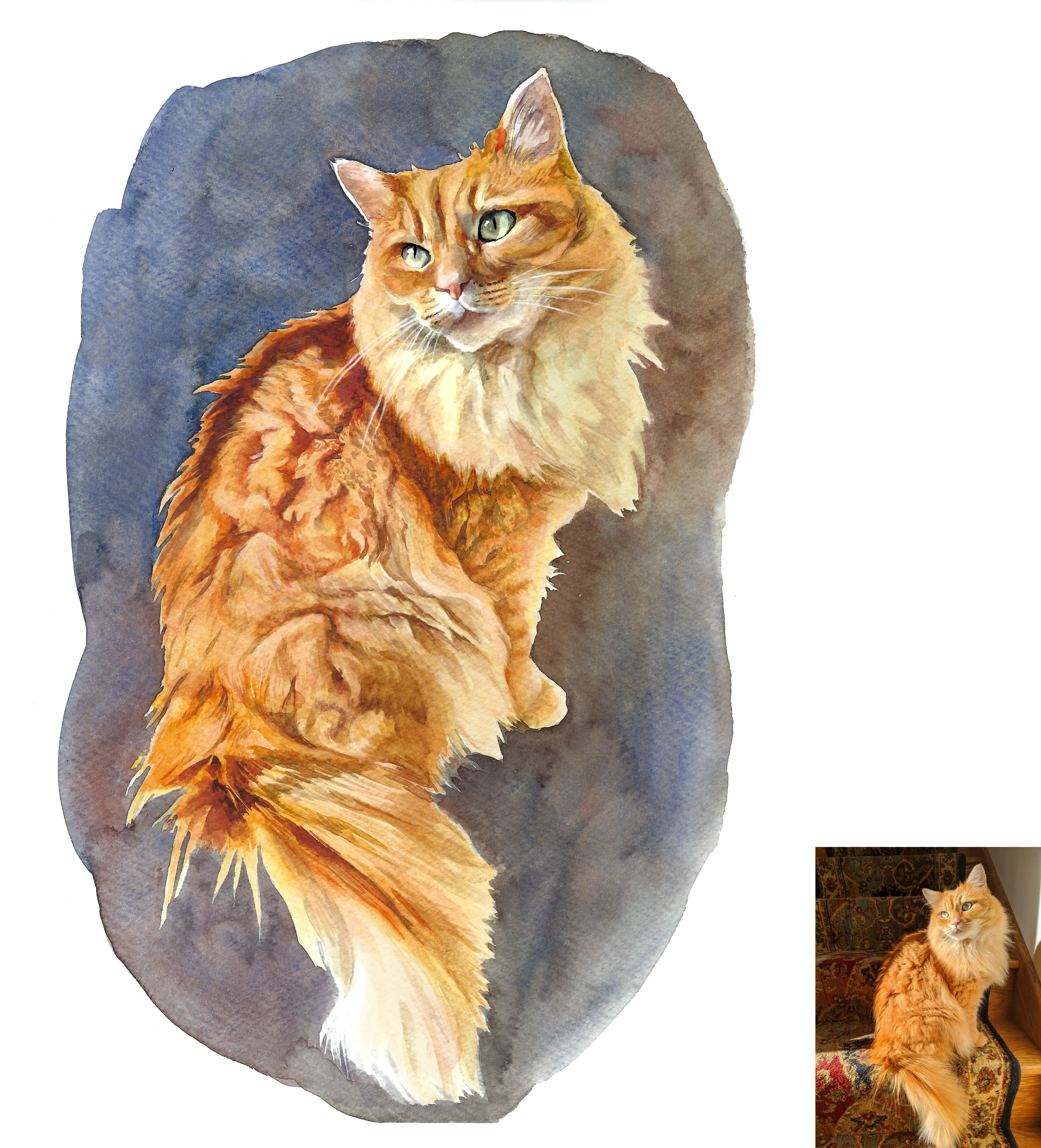 cat 2 smaller.png