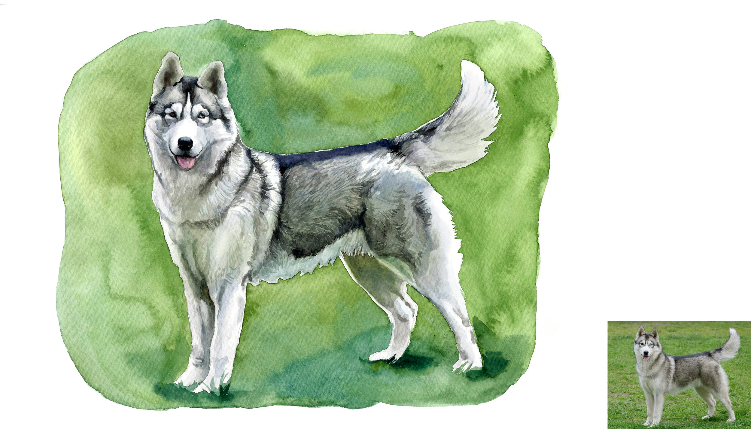 dog 4 smaller.png