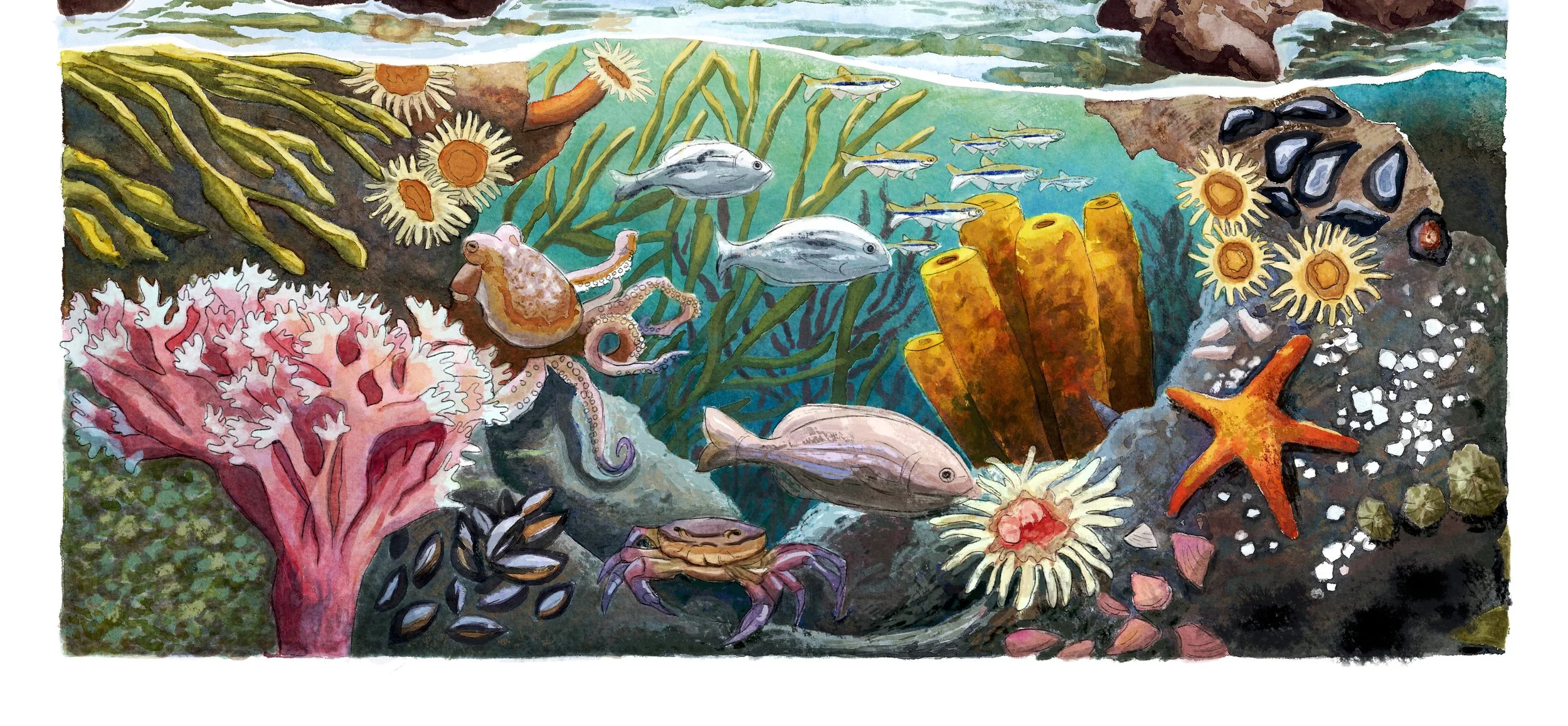 snippet 2 smaller.jpg