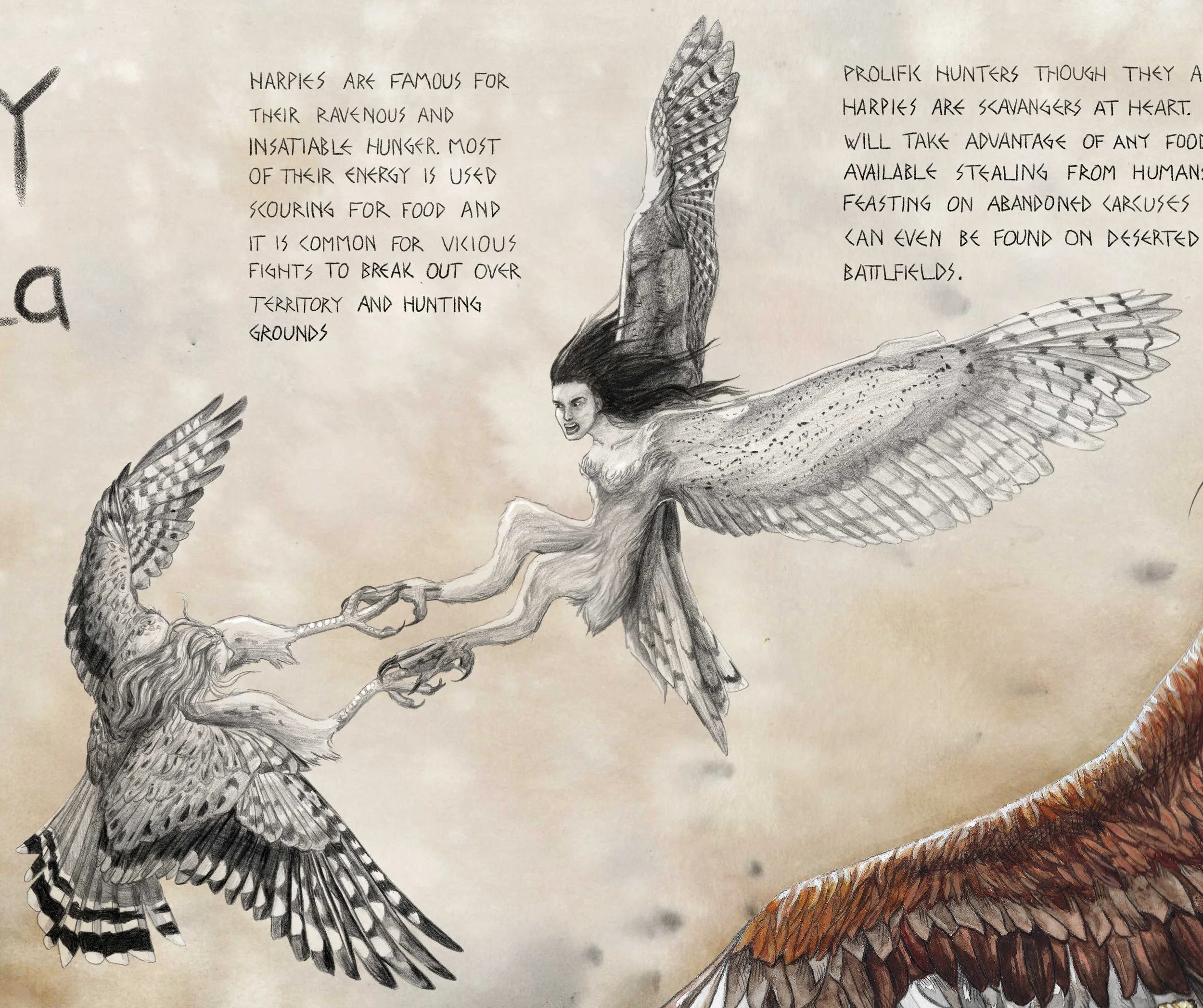 4 Concept Page edited 2.jpg