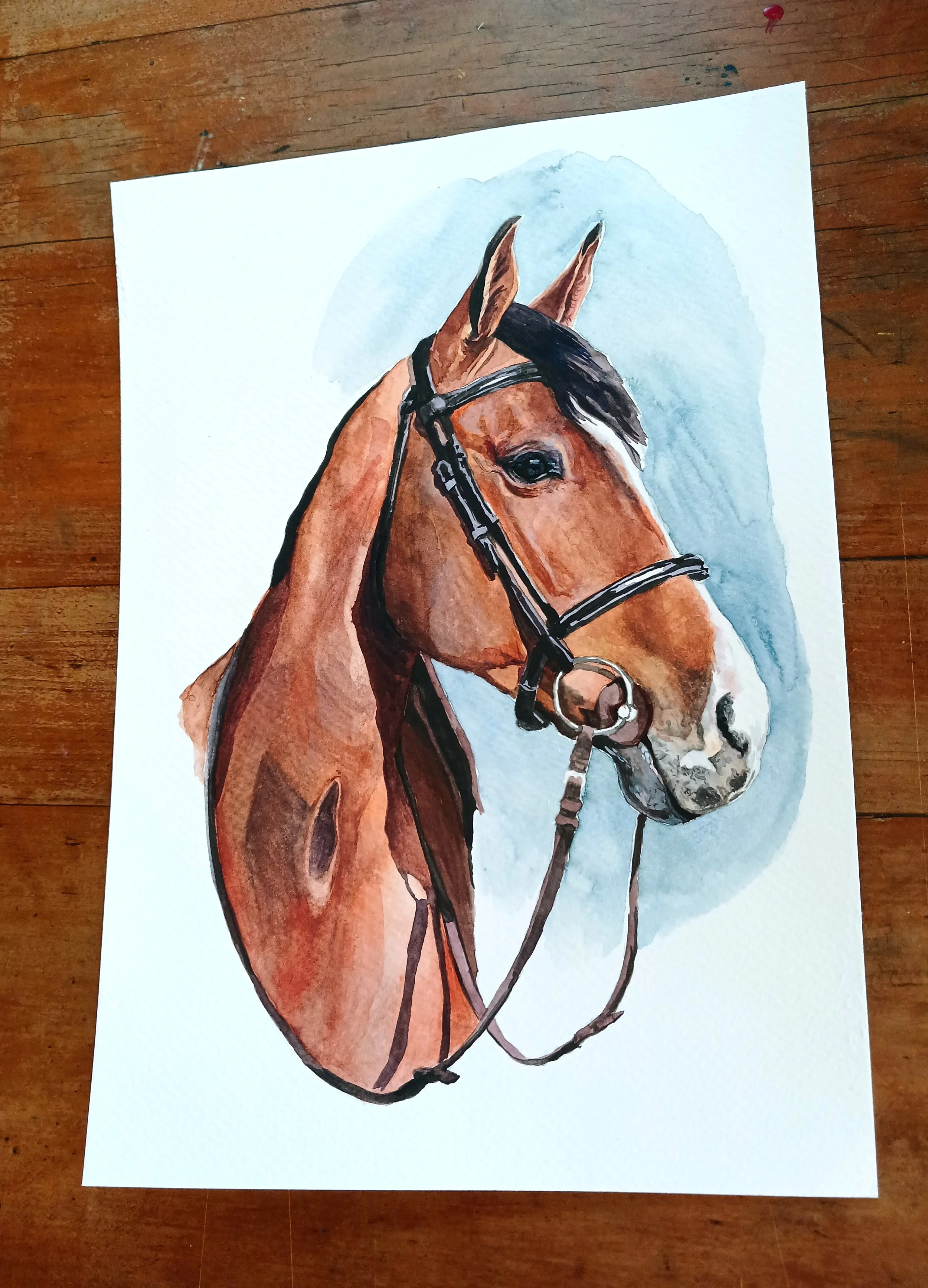 horse.jpg