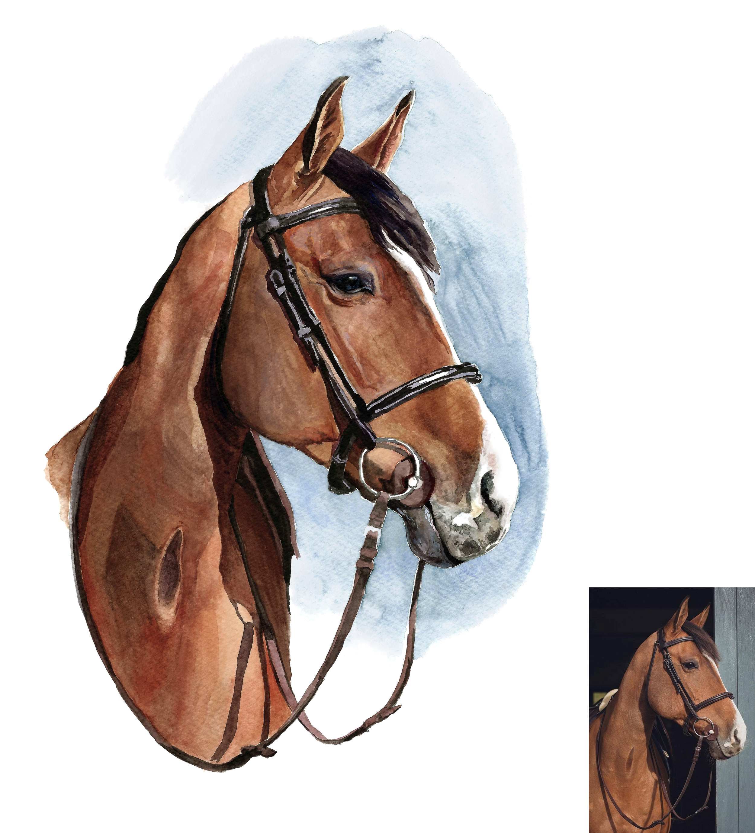 horse smaller.png