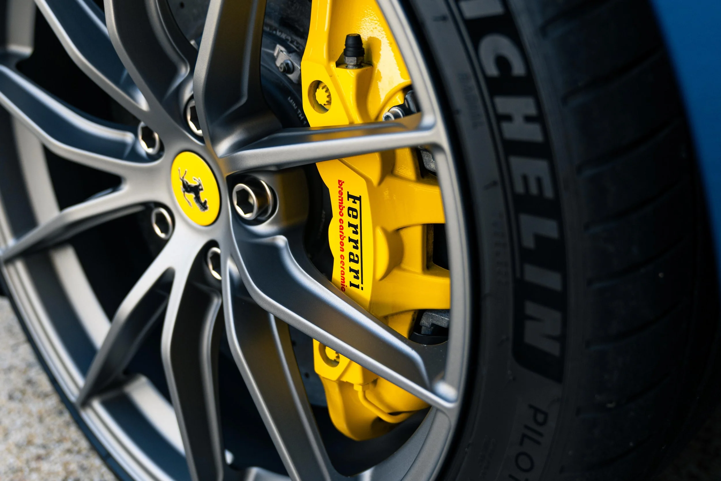 DSC04203.jpg