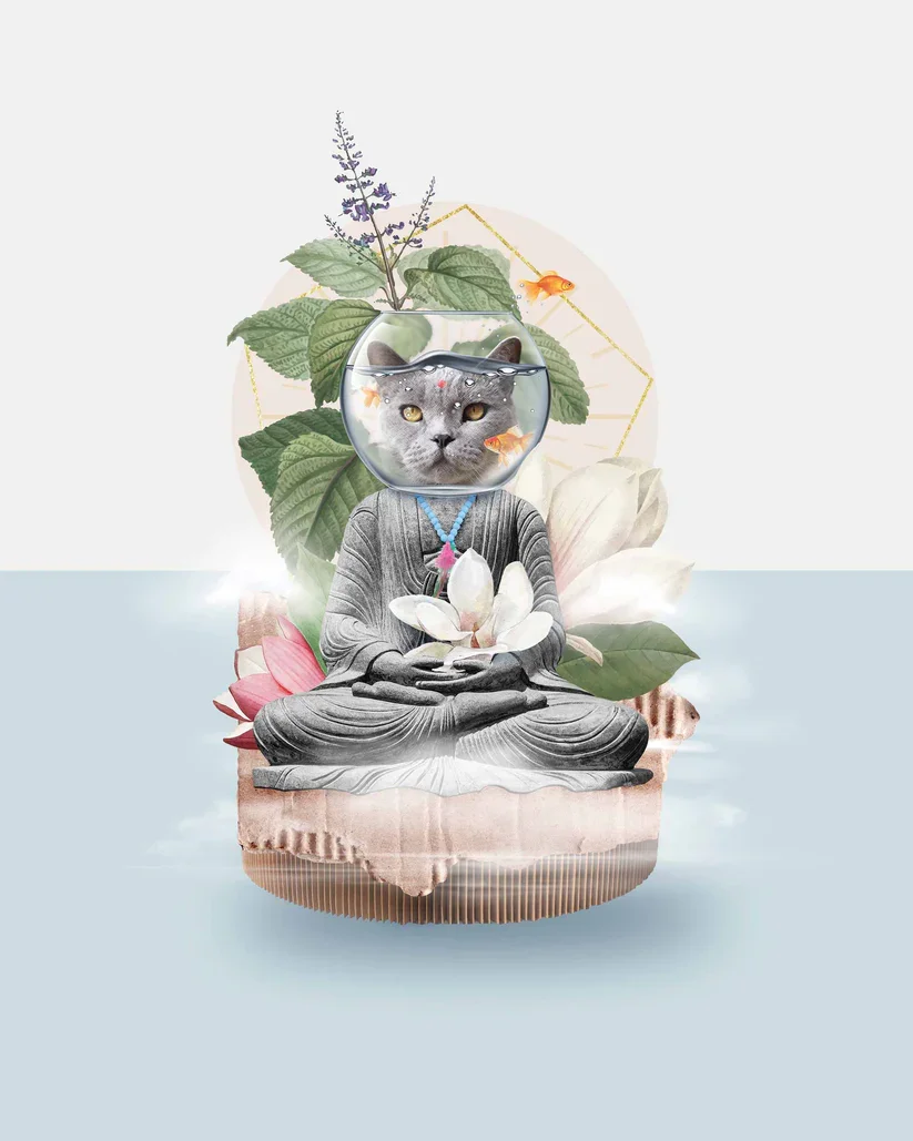 Nah-Meow-Stay
