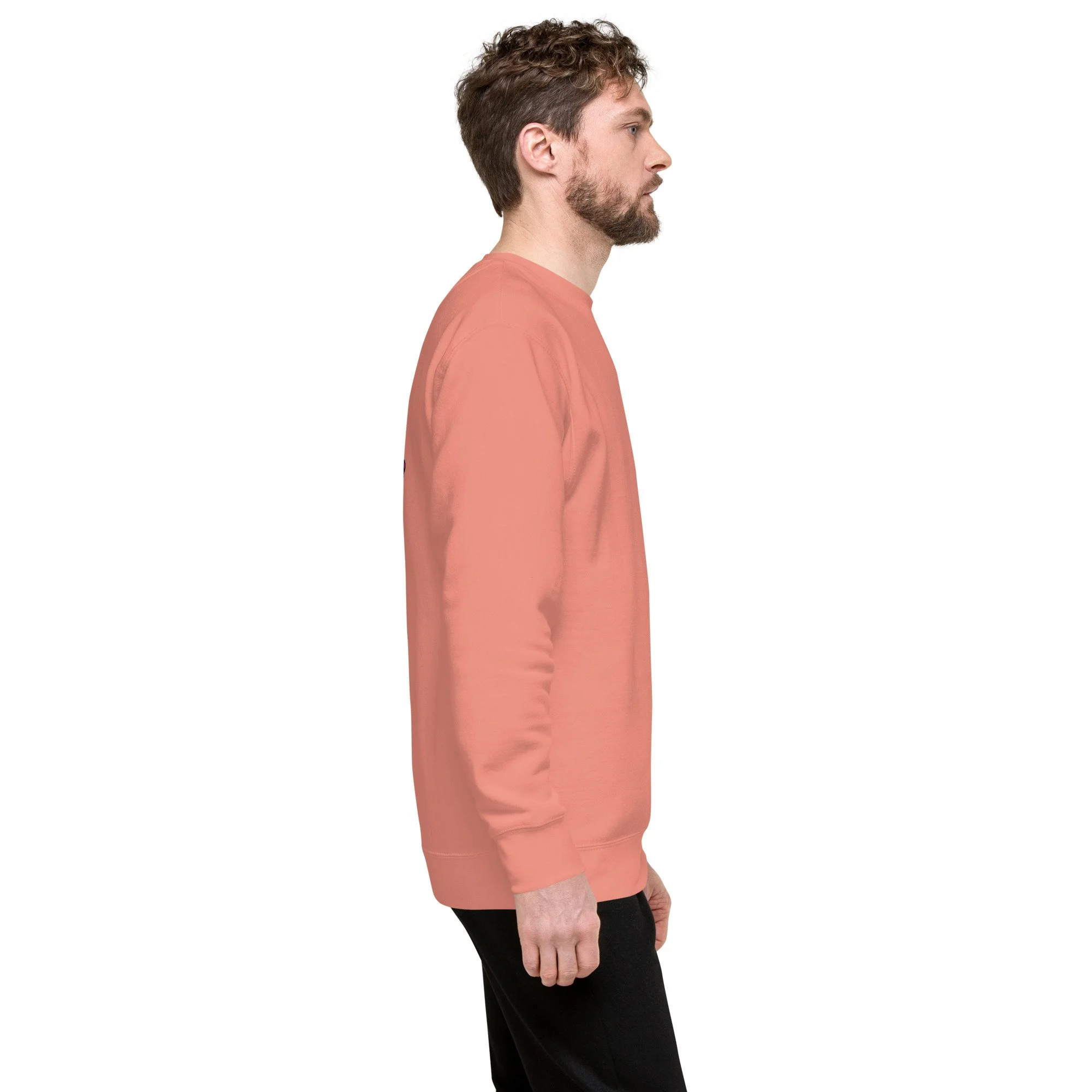 unisex-premium-sweatshirt-dusty-rose-right-68b0f931cf016.jpg
