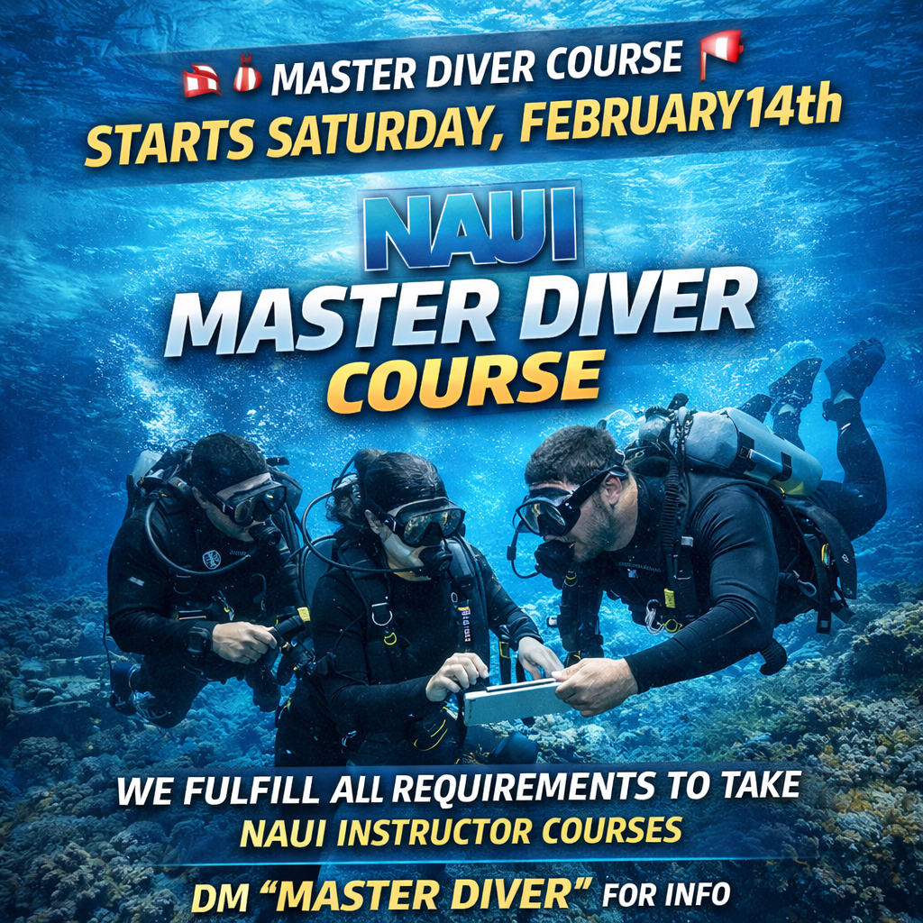 Master Scuba Diver Course