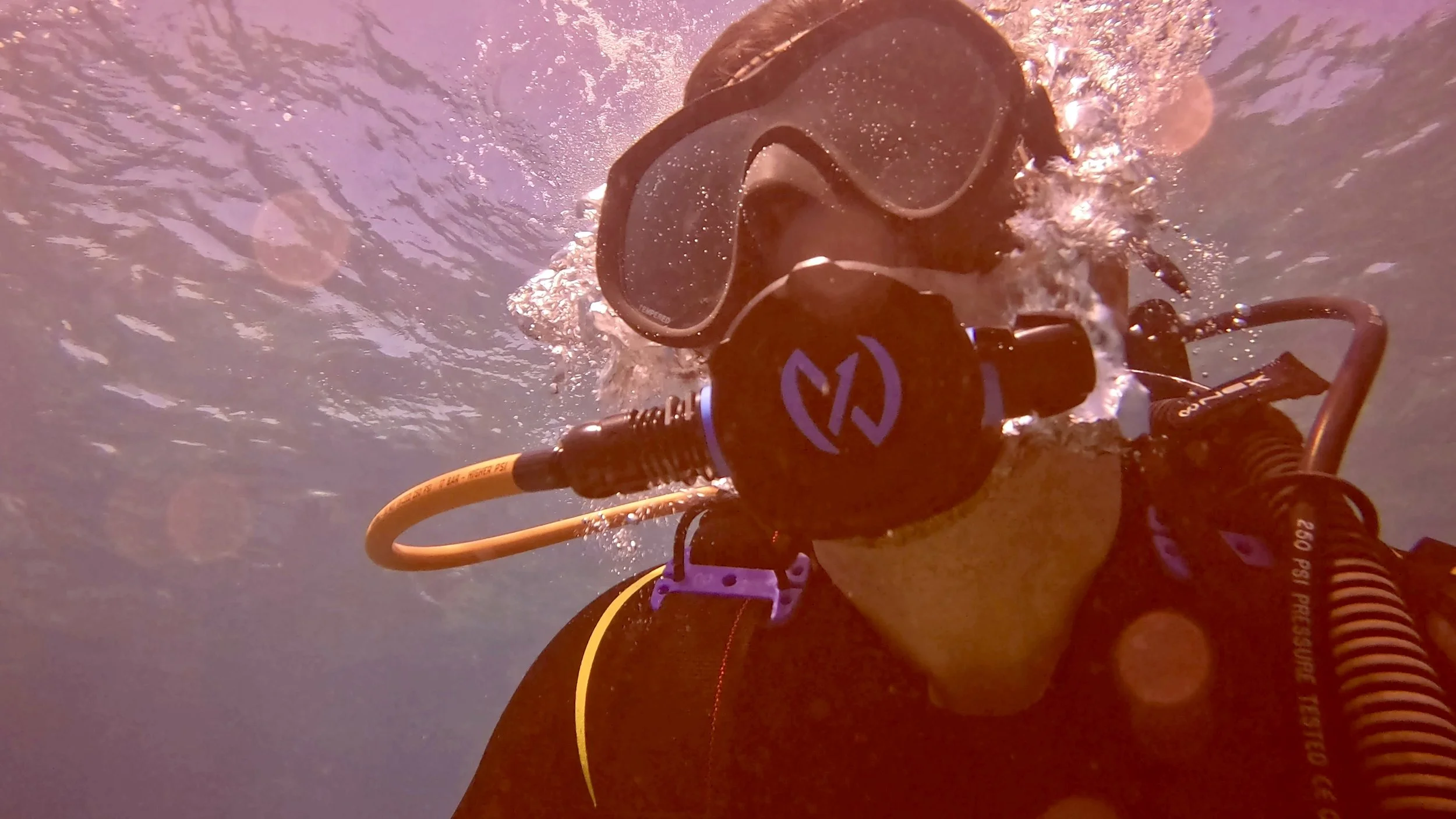 GPTempDownload 2.jpg