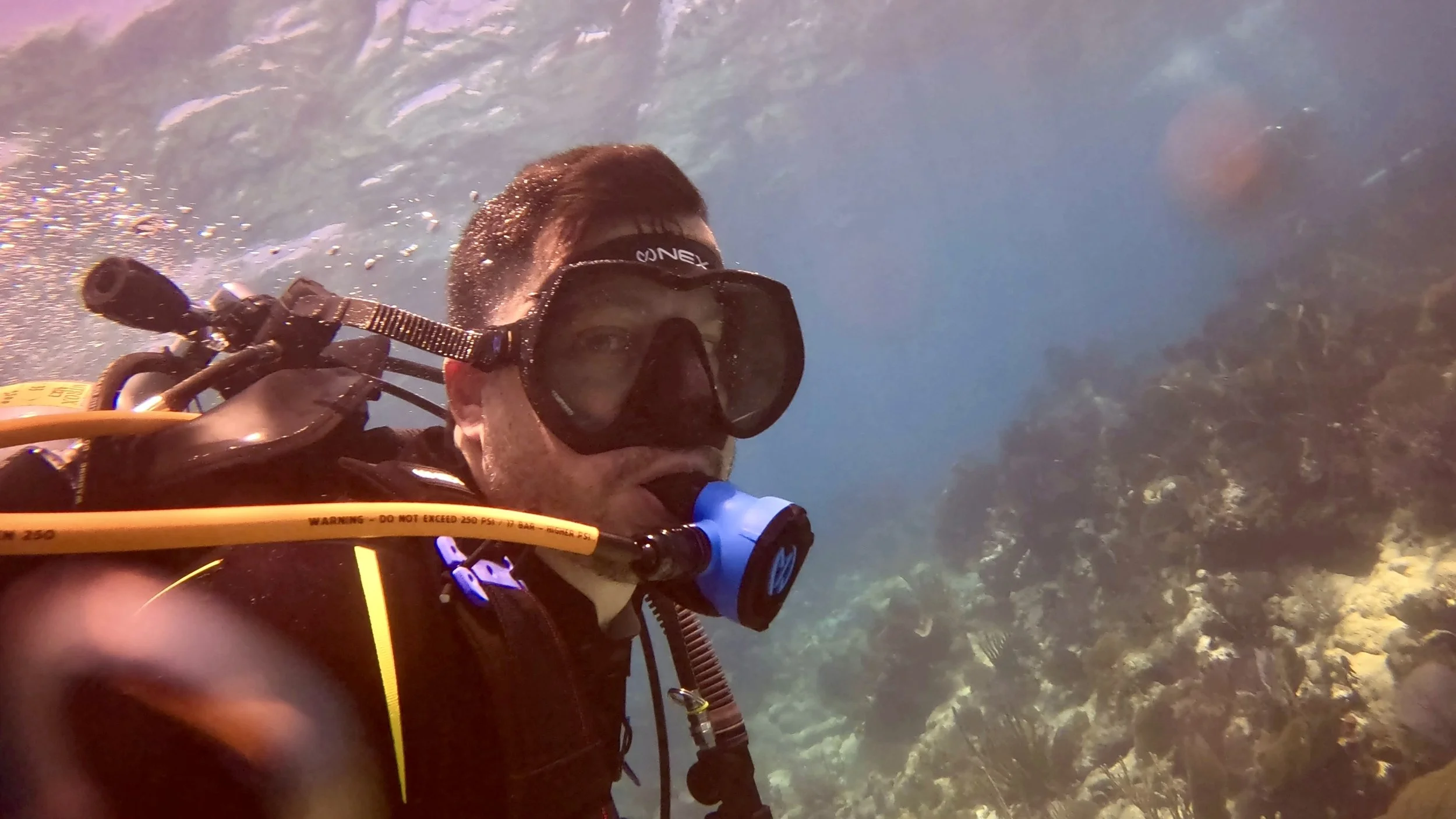 GPTempDownload 4.jpg