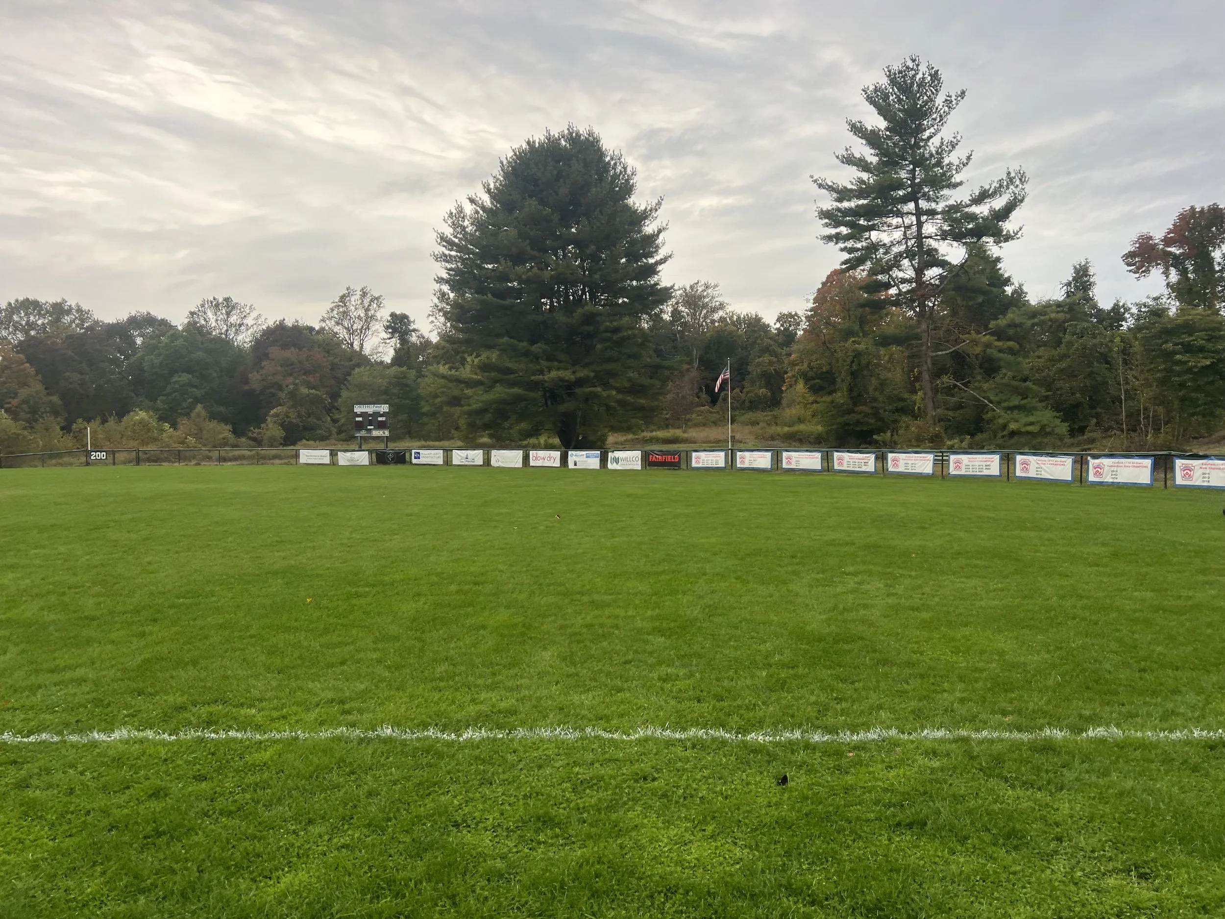 Empty football field with green grass, advertising banners along the fence, and trees in the background under a cloudy sky.
