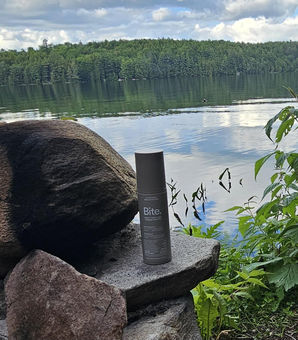 Our New Favorite: BITE Insect Repellent