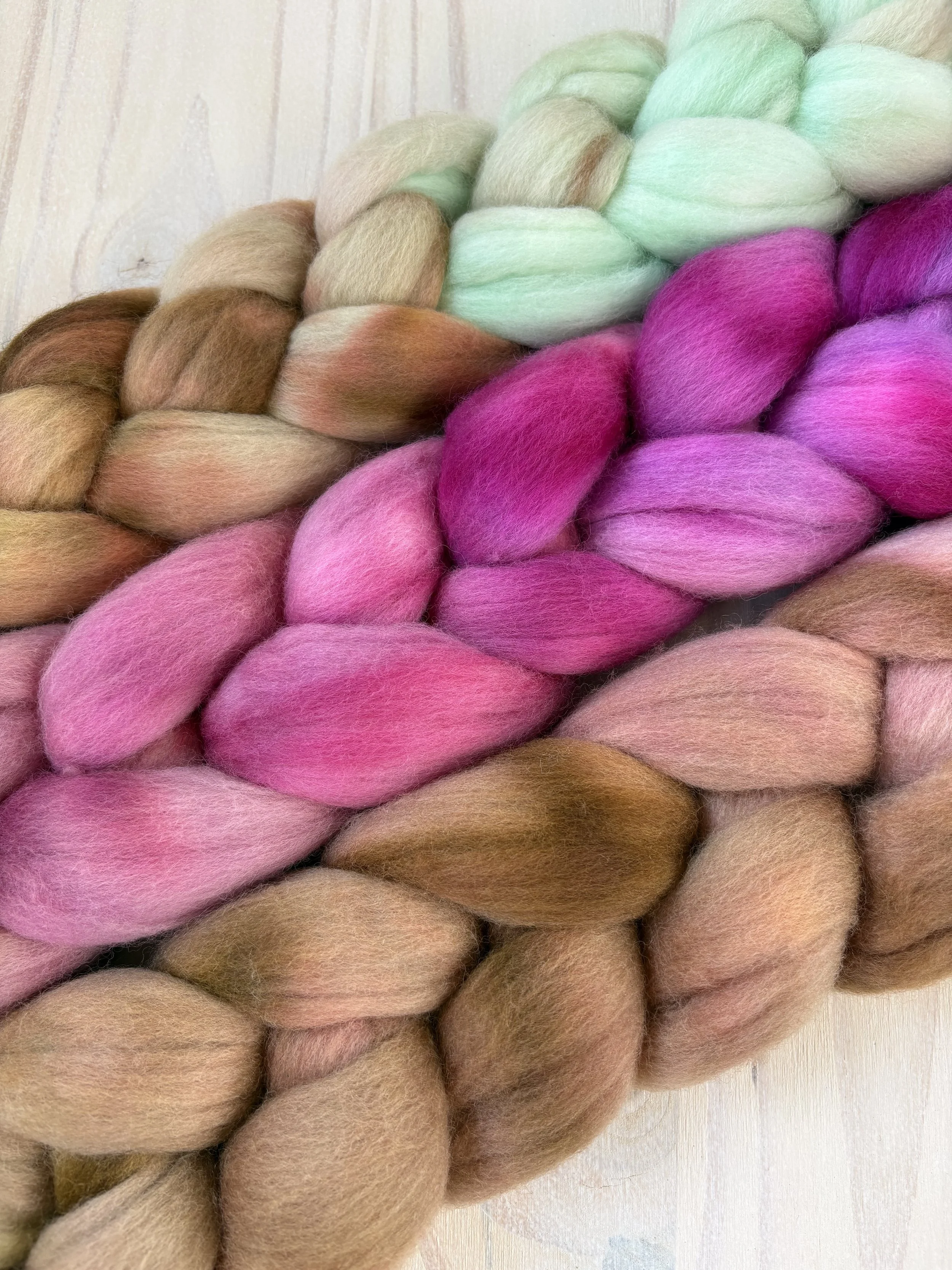 IMG_7282.jpeg