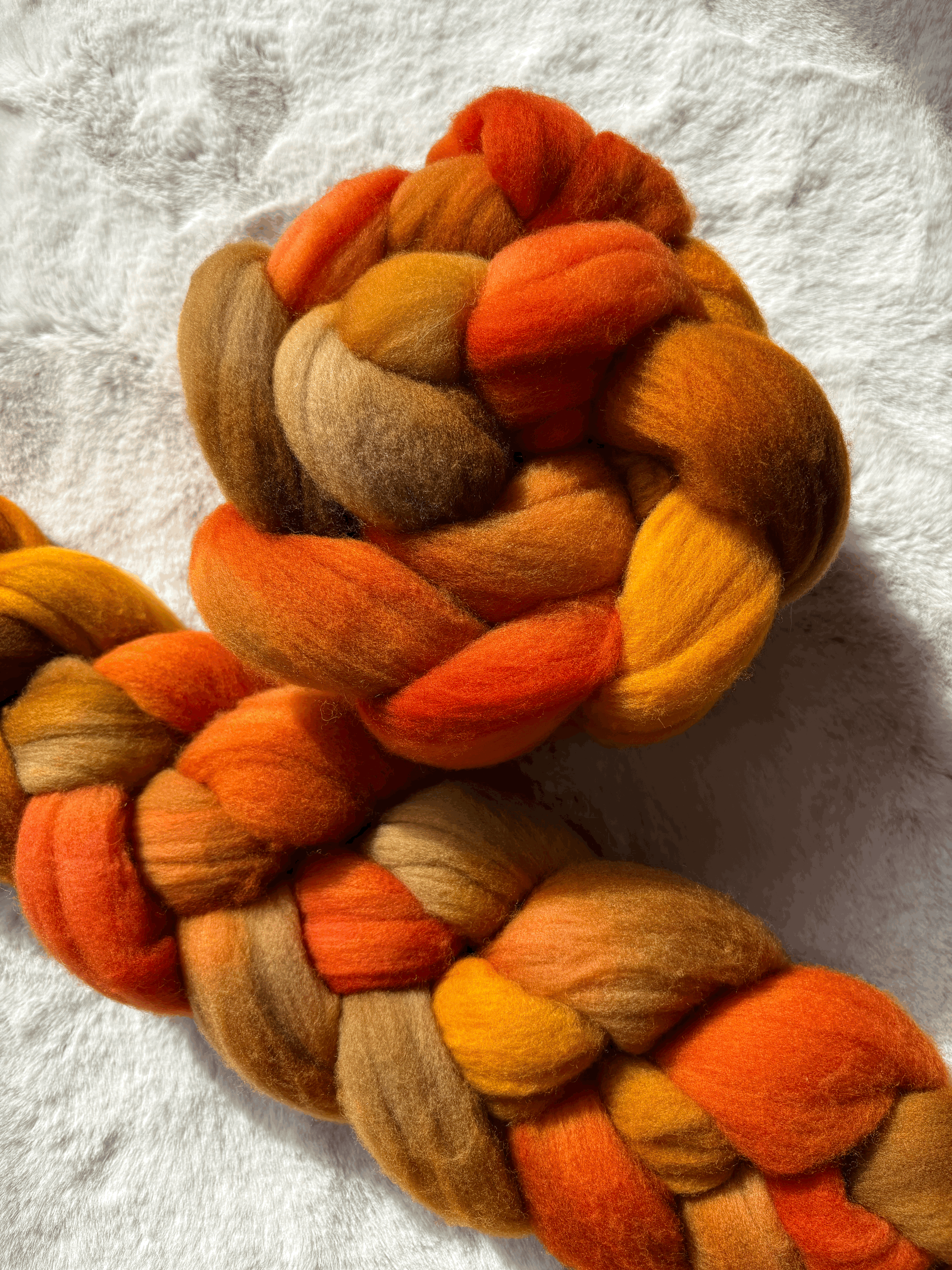 Targhee Spring Spinning Fiber