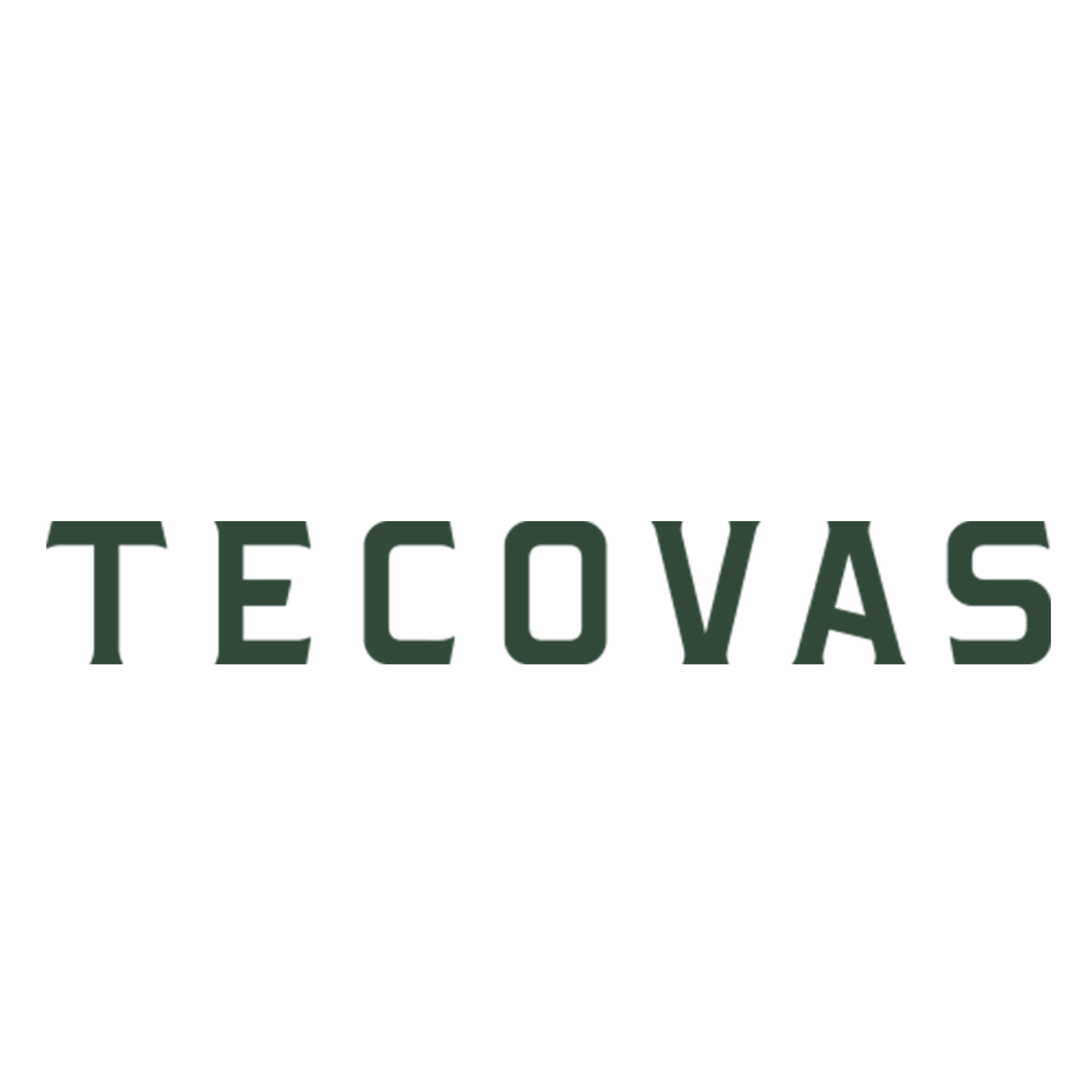 22 teco.png