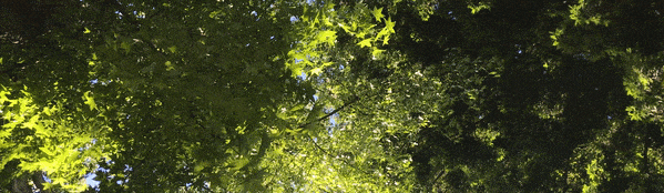 ezgif.com-gif-maker (2).gif