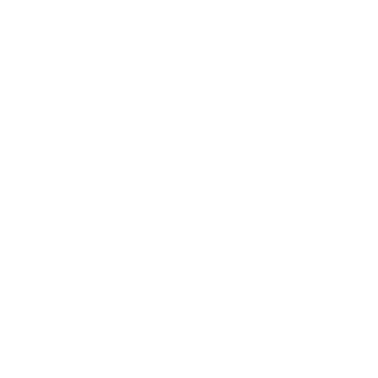 Park Street Strategies 