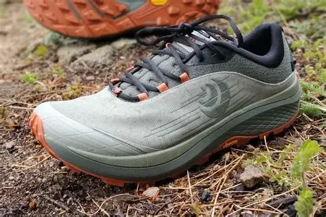 Fleet Feet Trail Demo Series: TOPO/feetures socks