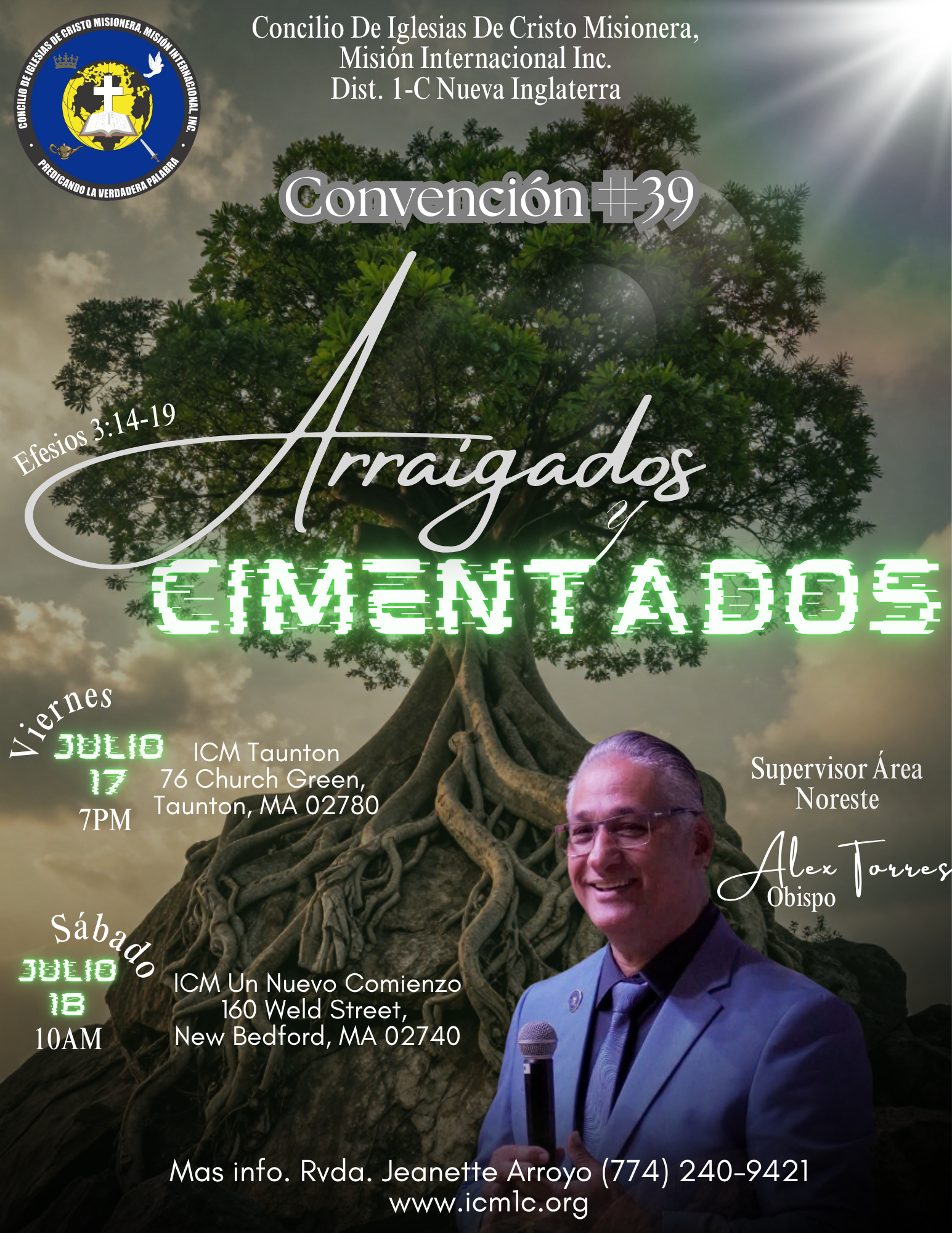 Fondo de árbol y raíces en montaña (3).png