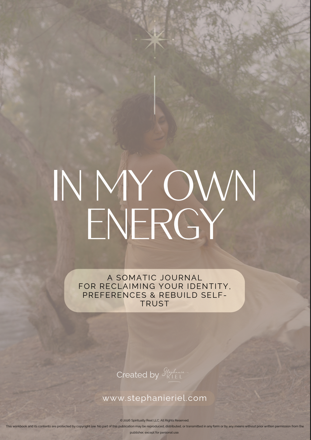 In My Own Energy Journal