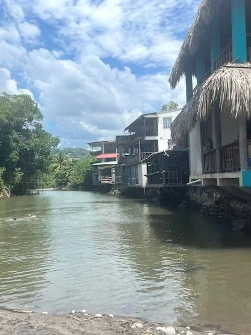Waterfront houses with thatched roofs along a river with trees and a blue sky with clouds