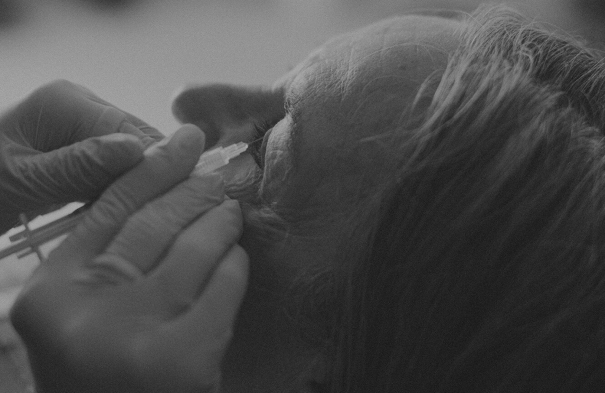A person administering a nasal spray to an elderly woman's nose, with a healthcare worker's gloved hand holding the spray