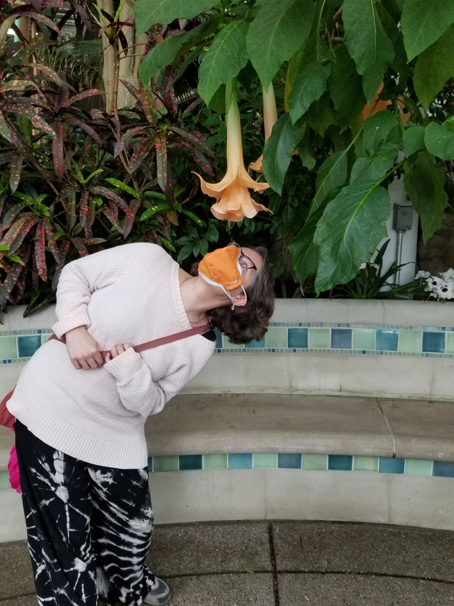 Funny picture of Wise Honey team looking into the center of a flower in Phipps Conservatory