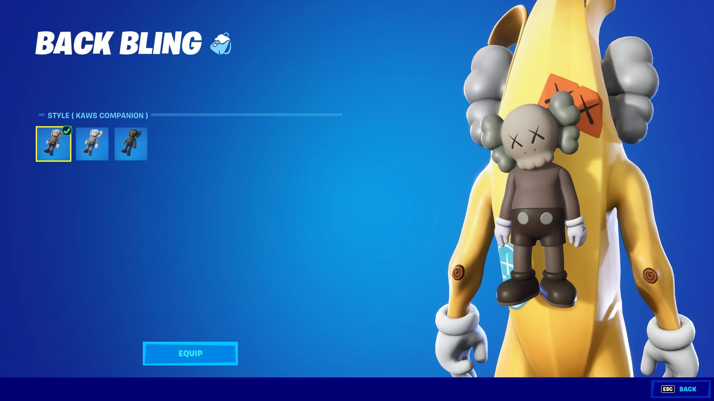 KAWS Back Bling.jpg