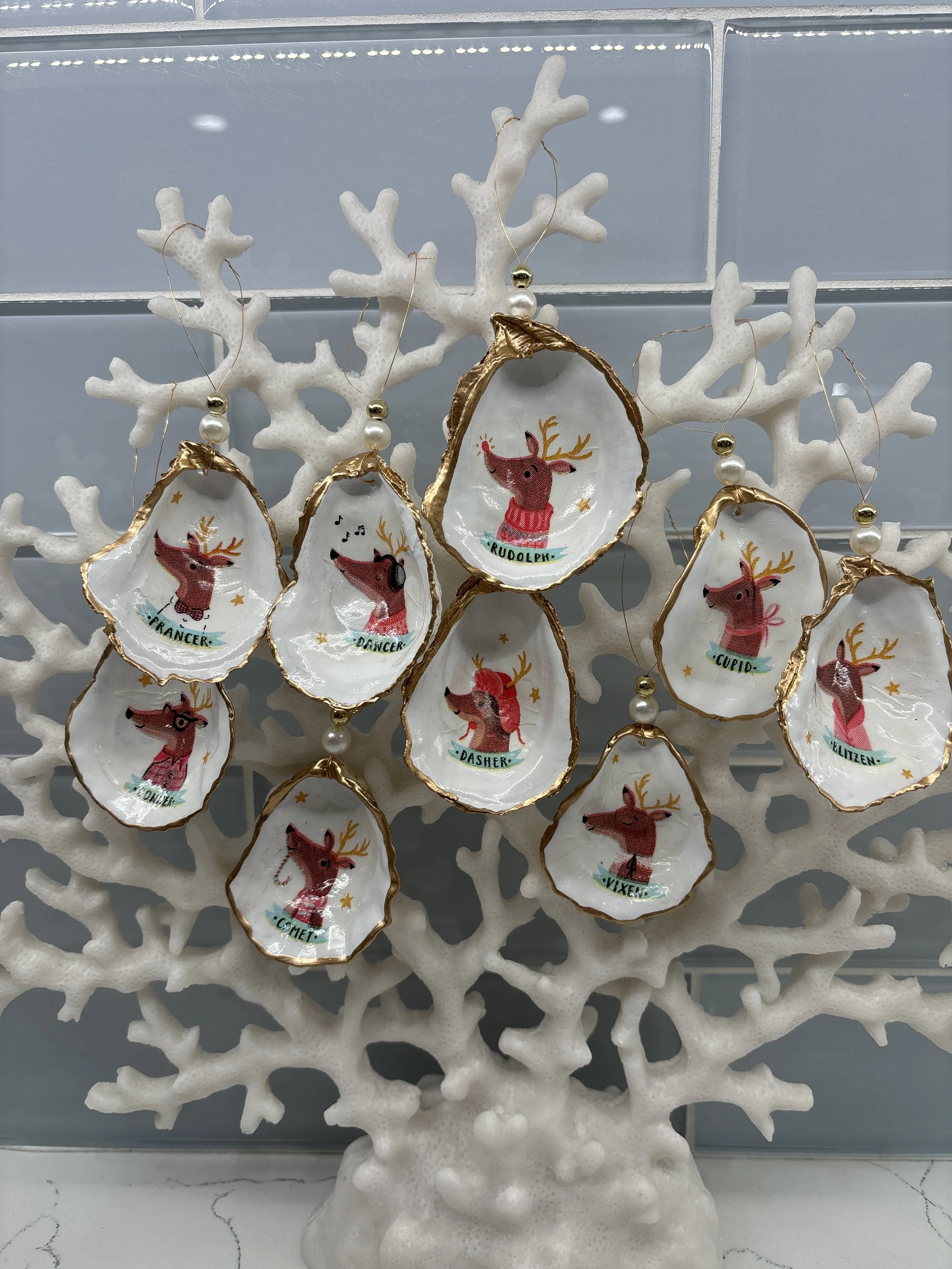 Oysterreindeer (1).JPG