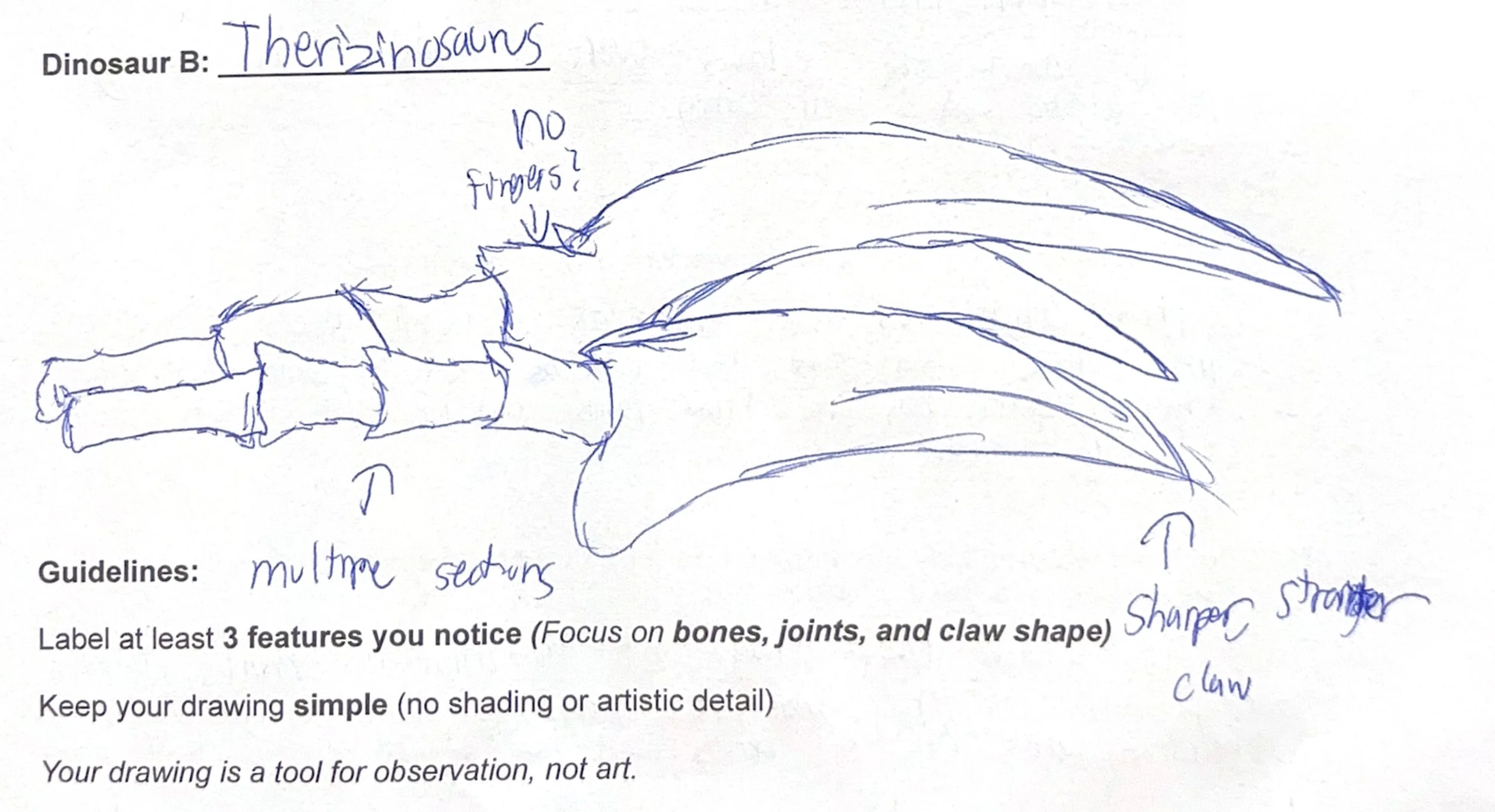 Translating Museum-Based Science into Classroom Practice: Dinosaur Hand Structures&nbsp;