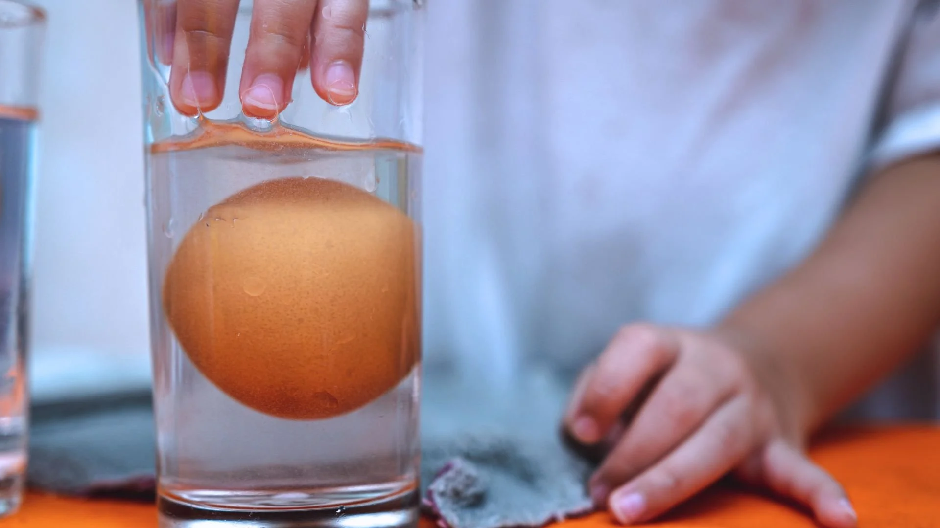 Eggshell + Vinegar: Where Did the Matter Go?