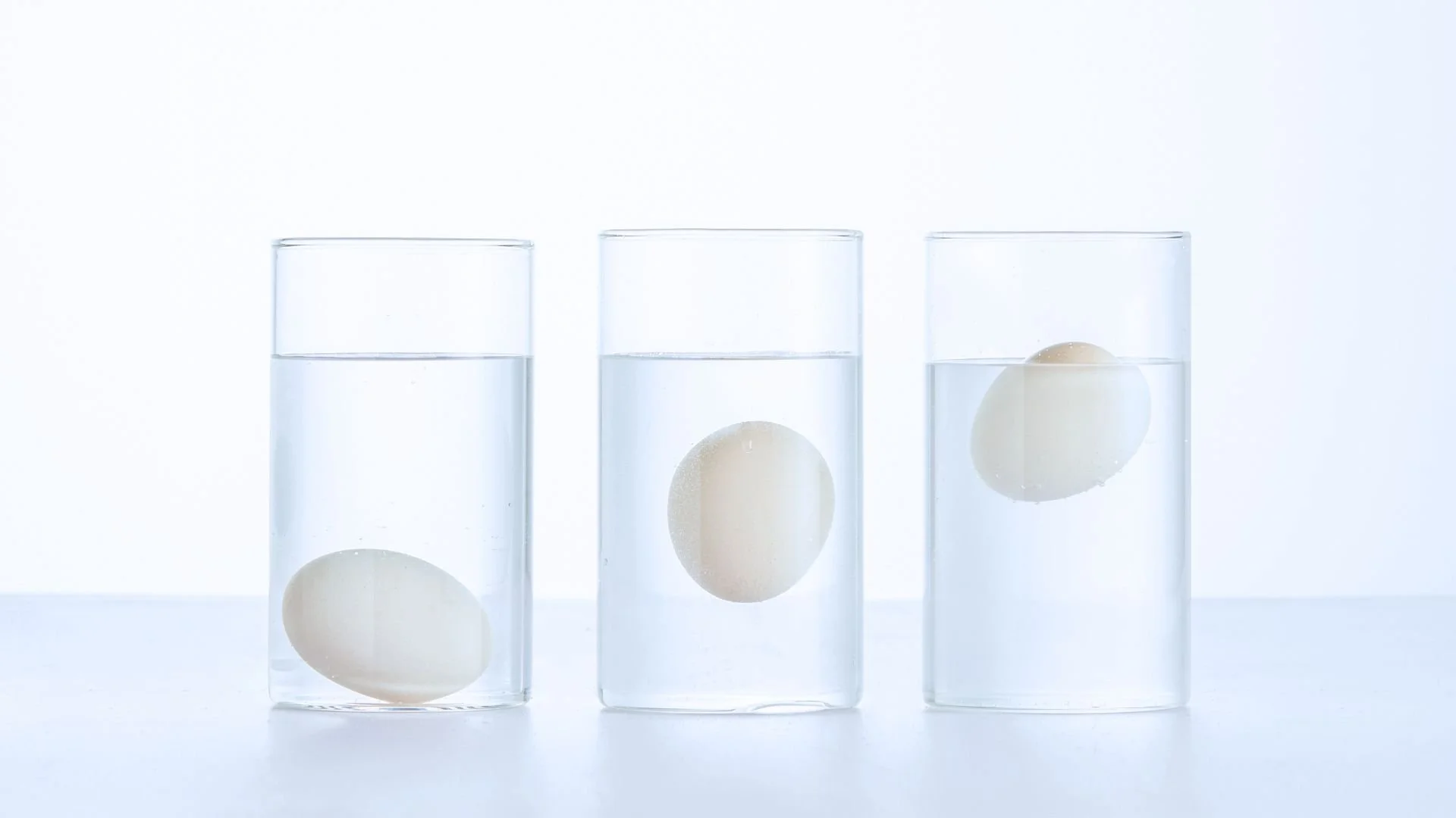 Where does the water go? Using a Shell-less Egg to Investigate Osmosis