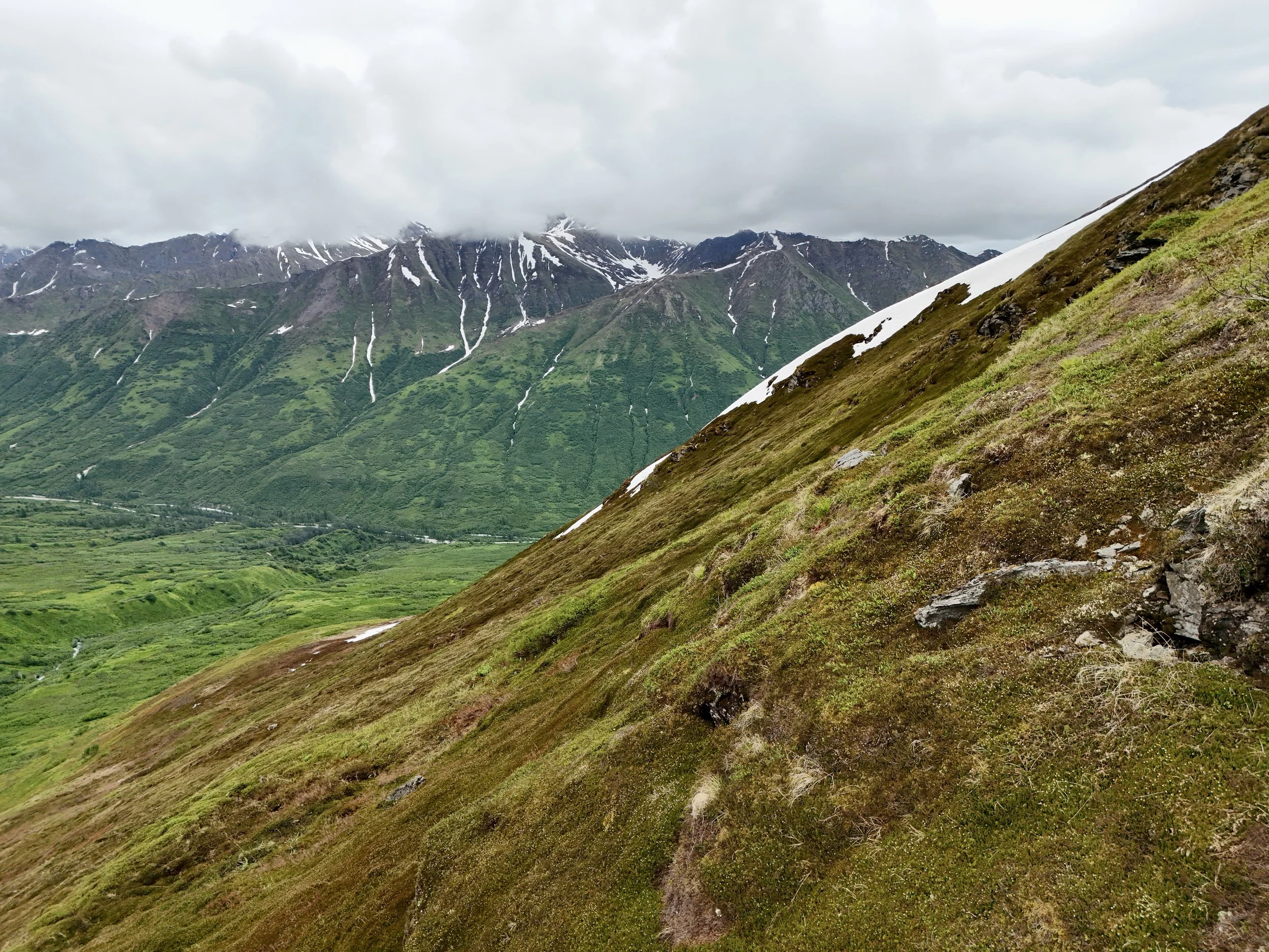 A scenic view of green mountains with patches of snow, cloudy sky, and a moss-covered hillside in the foreground.
