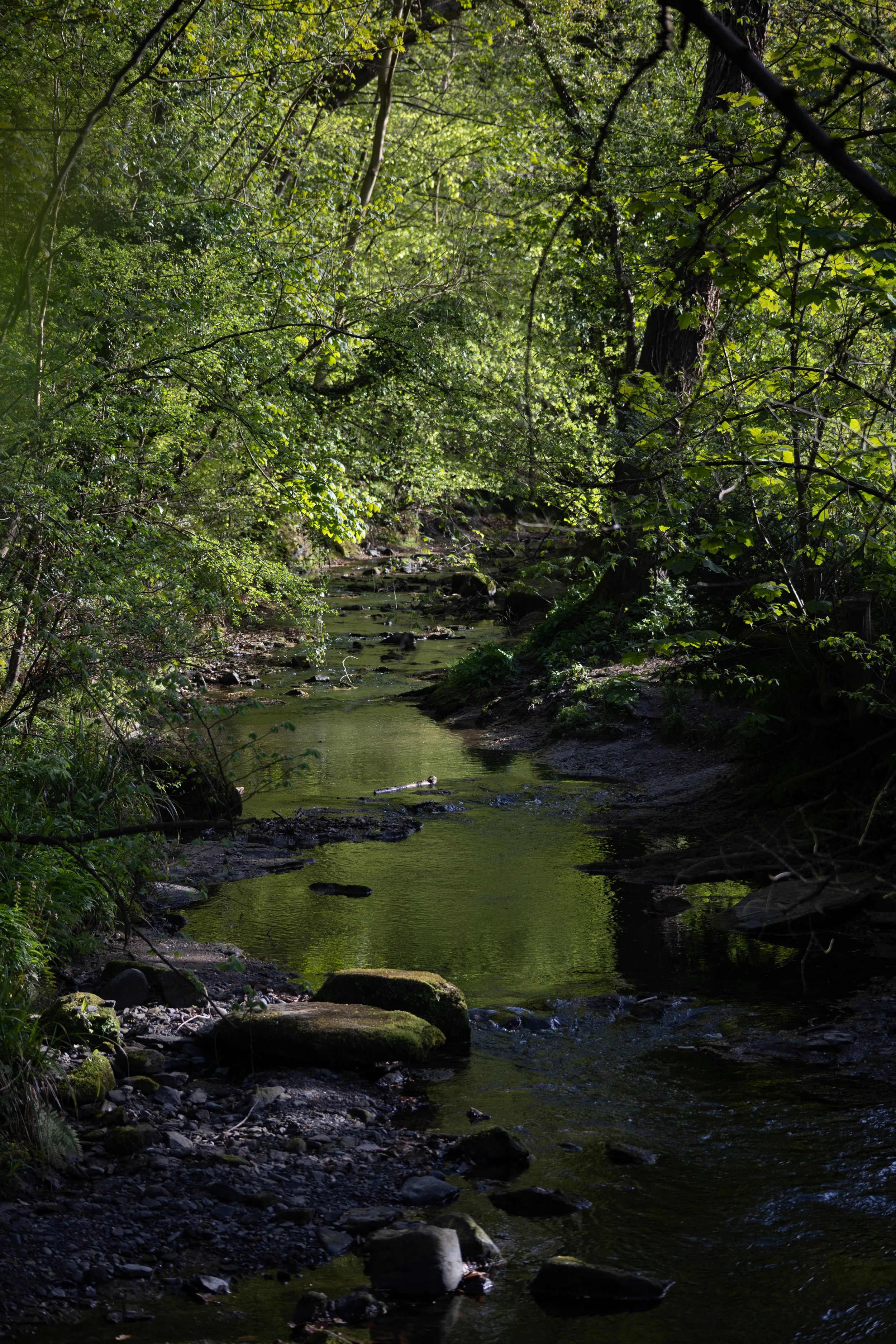 F54A5467.jpg