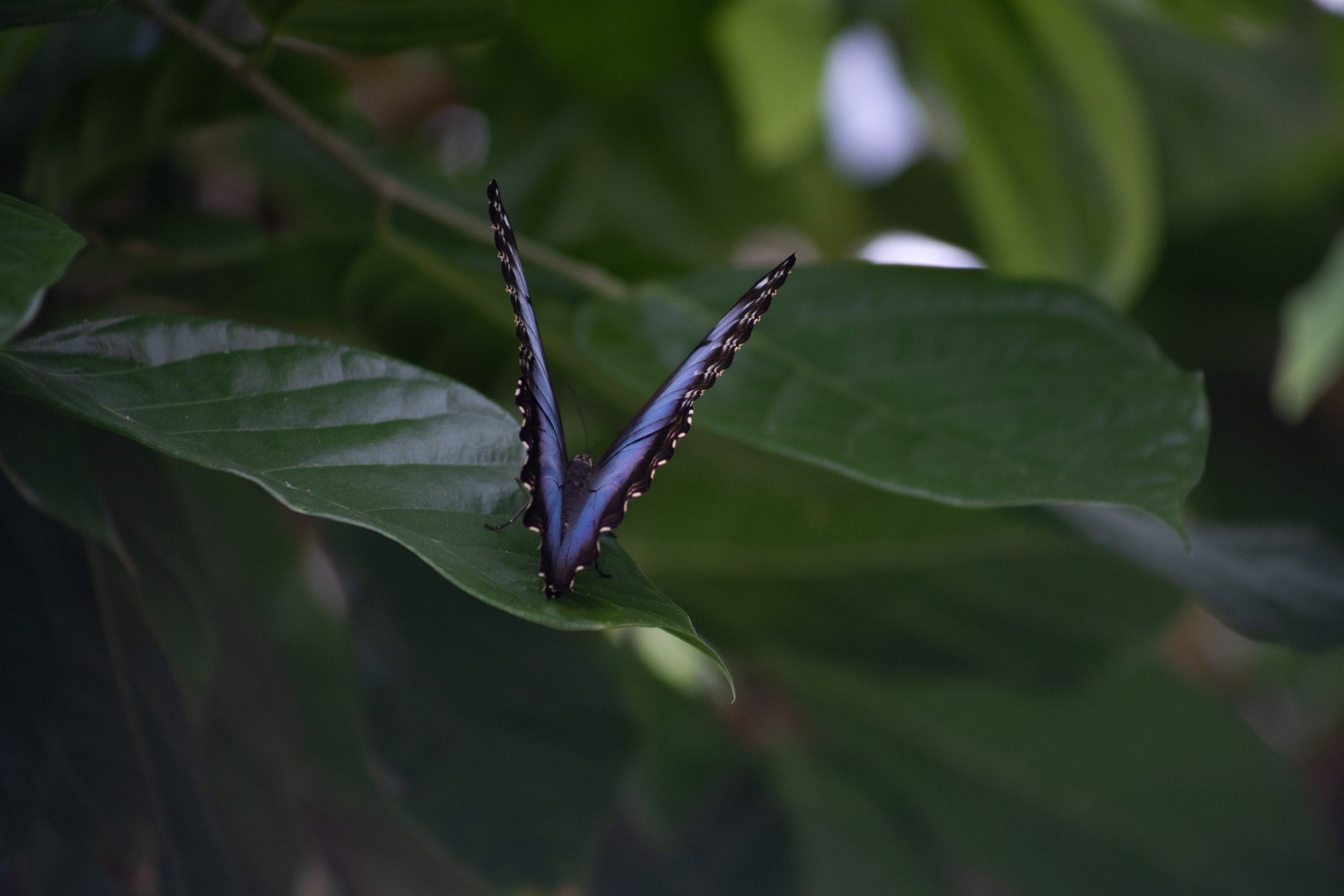 F54A6904.jpg