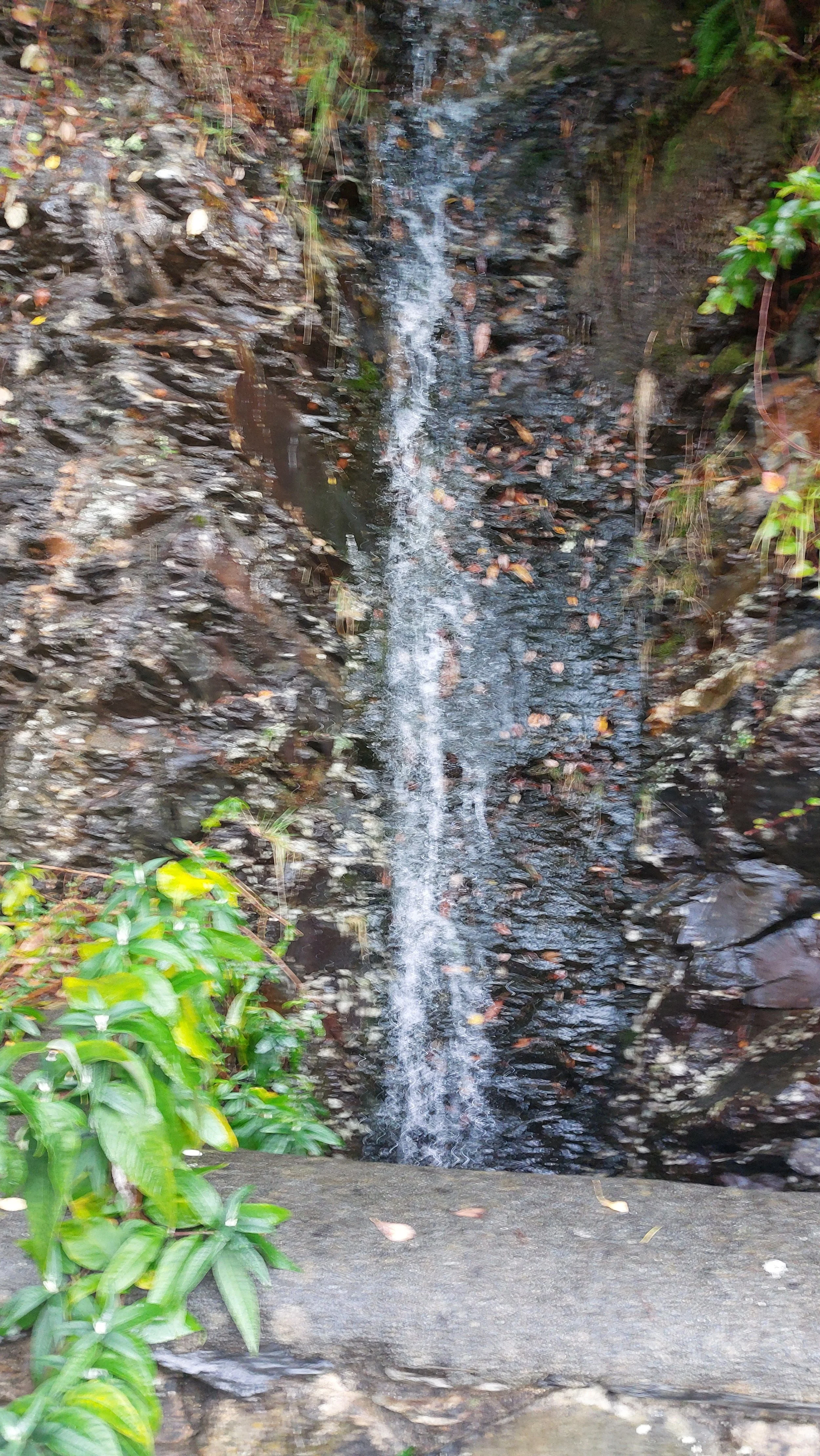 20241019_091948.jpg