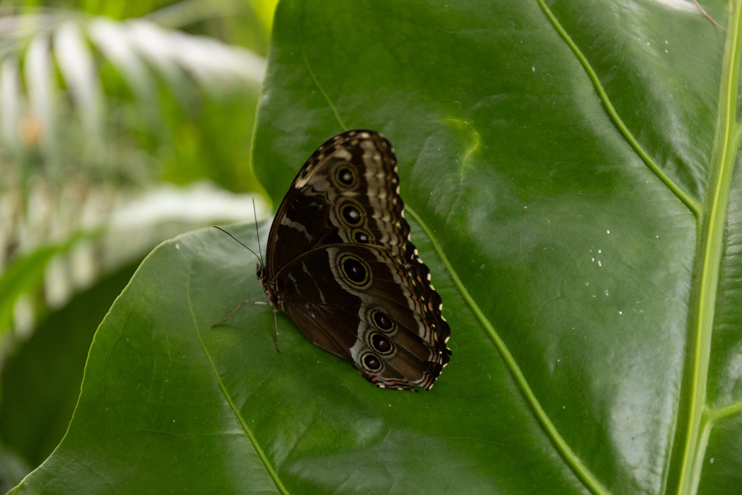 F54A6695.jpg