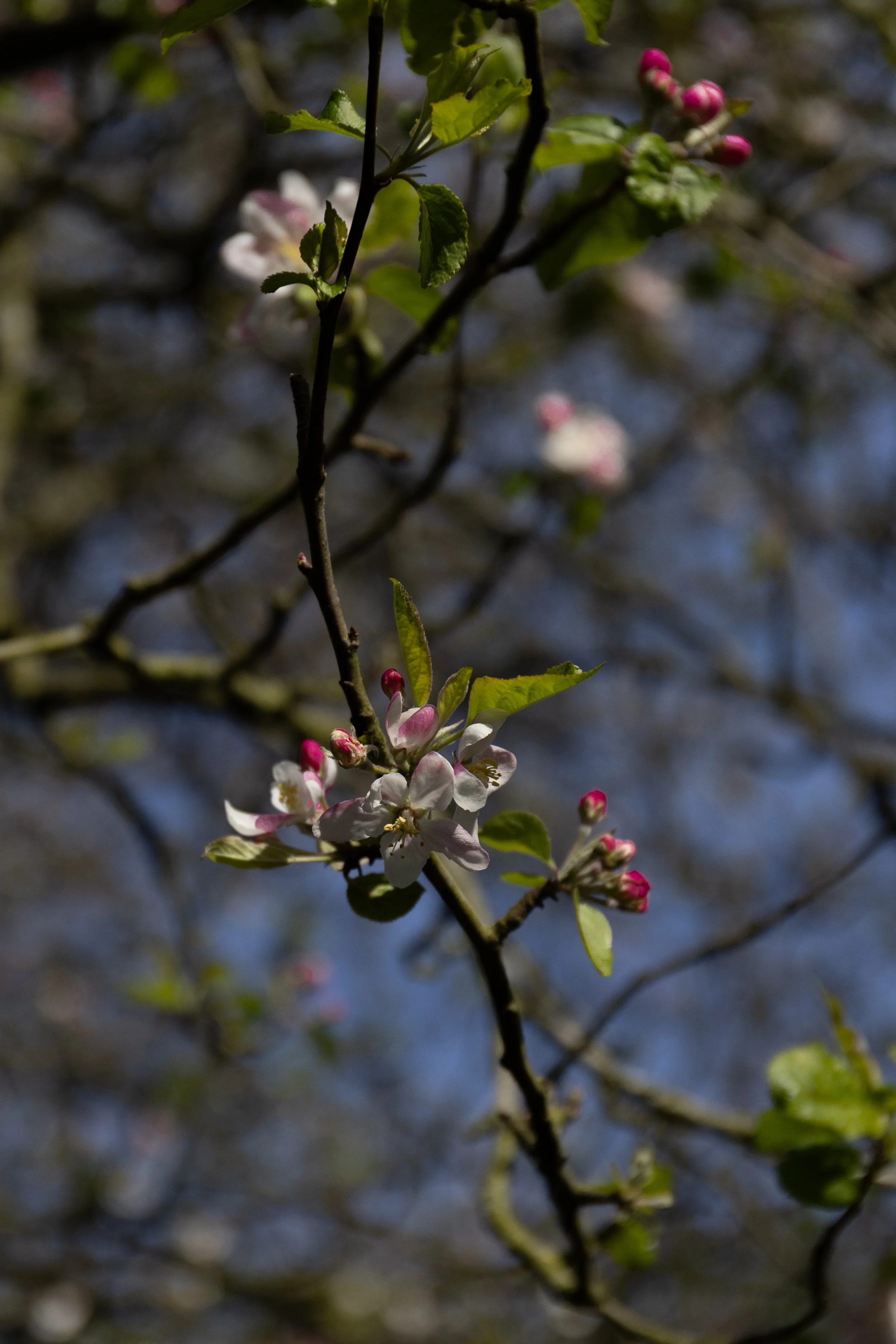 F54A5457.jpg