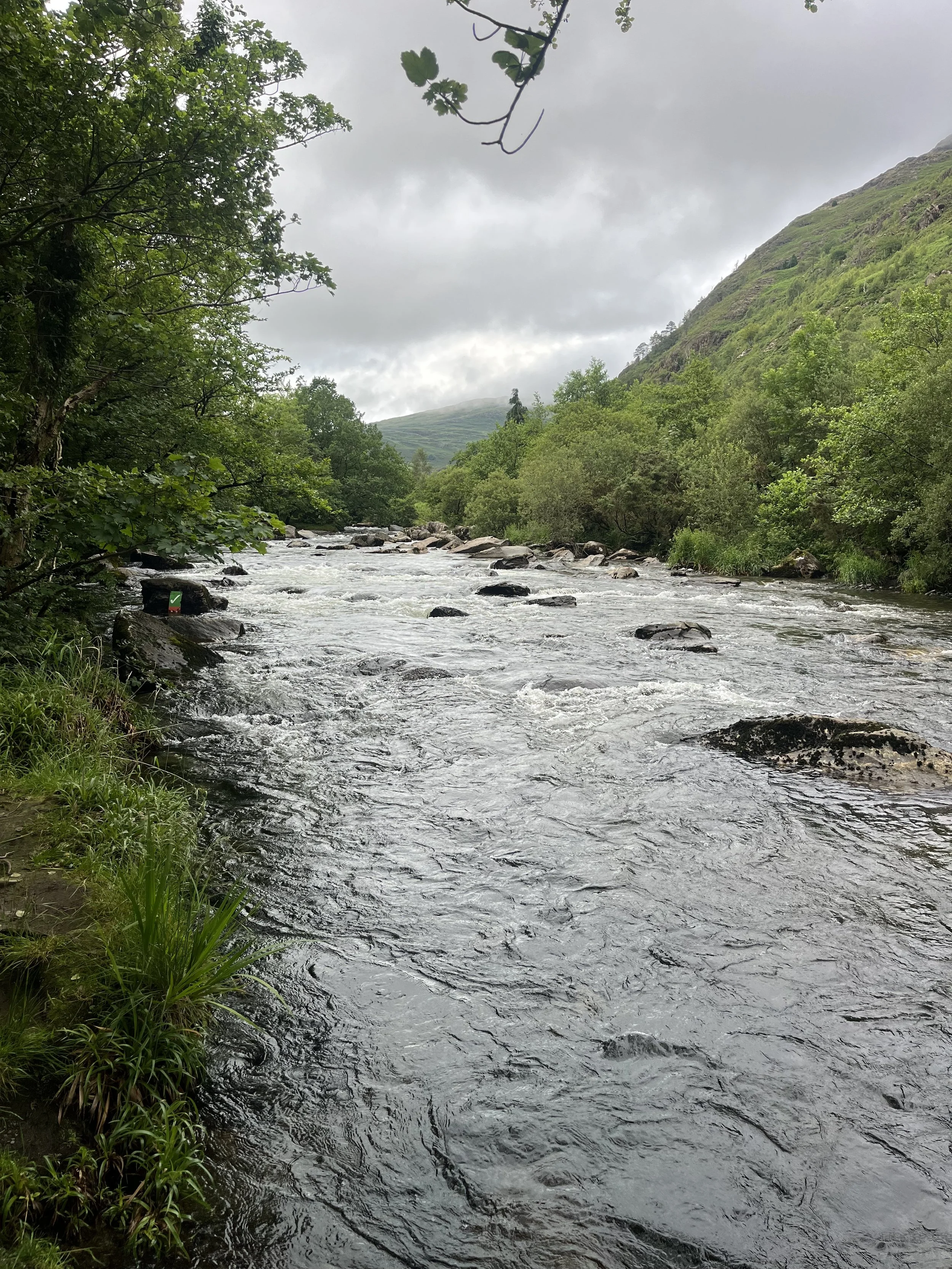 IMG_4592.jpeg