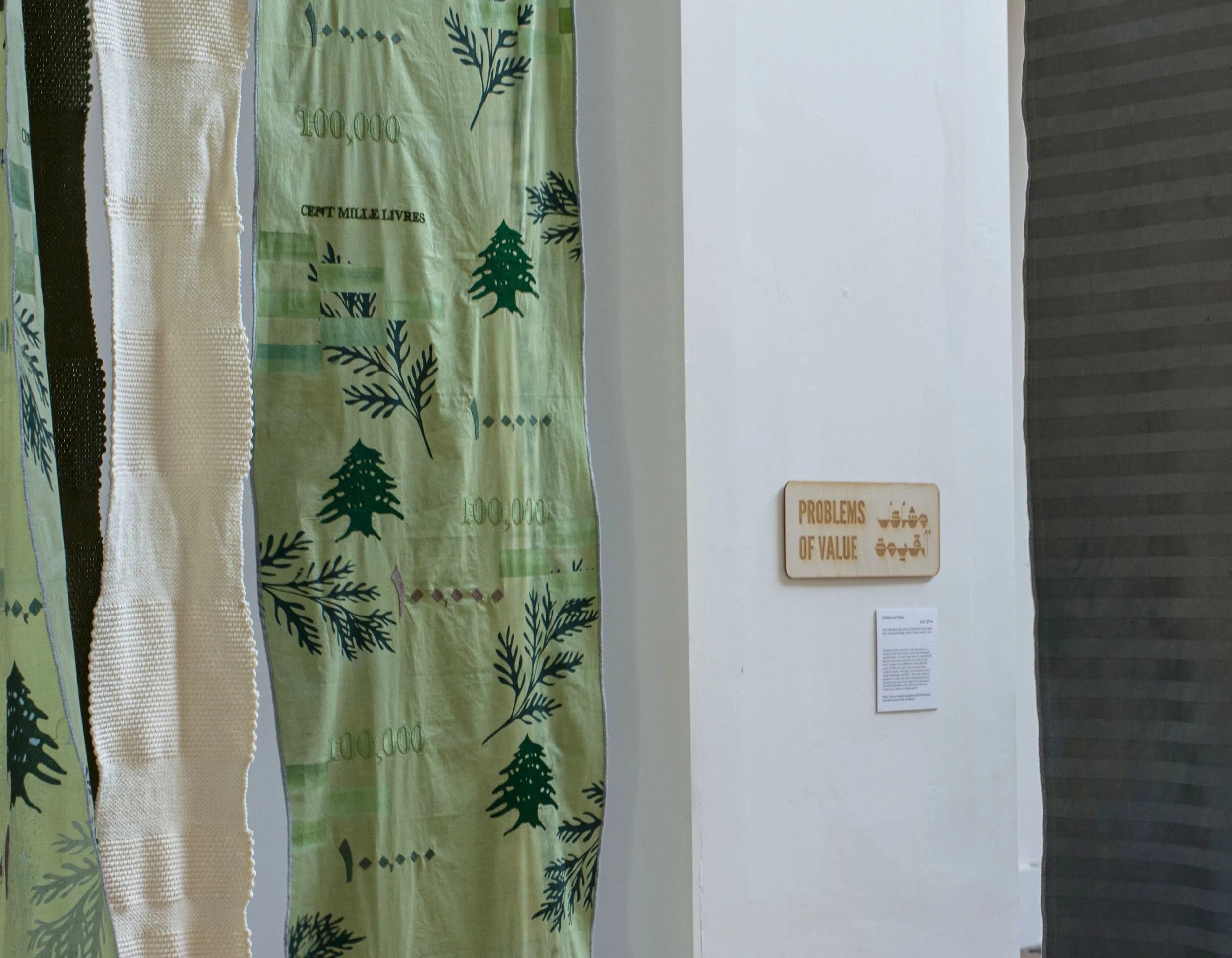   Problems of Value , Hannah Atallah Photo: Eleanor Goldfield 