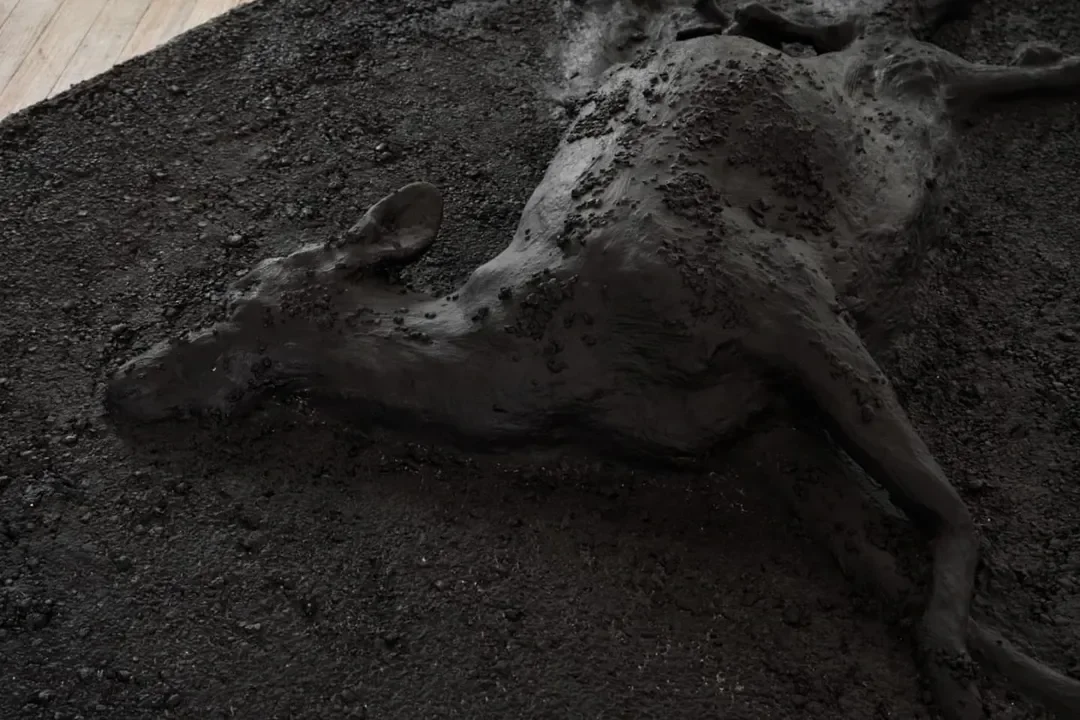  About a life (detail), Pavlos Liaretidis photo: Vivian Marie Doering 