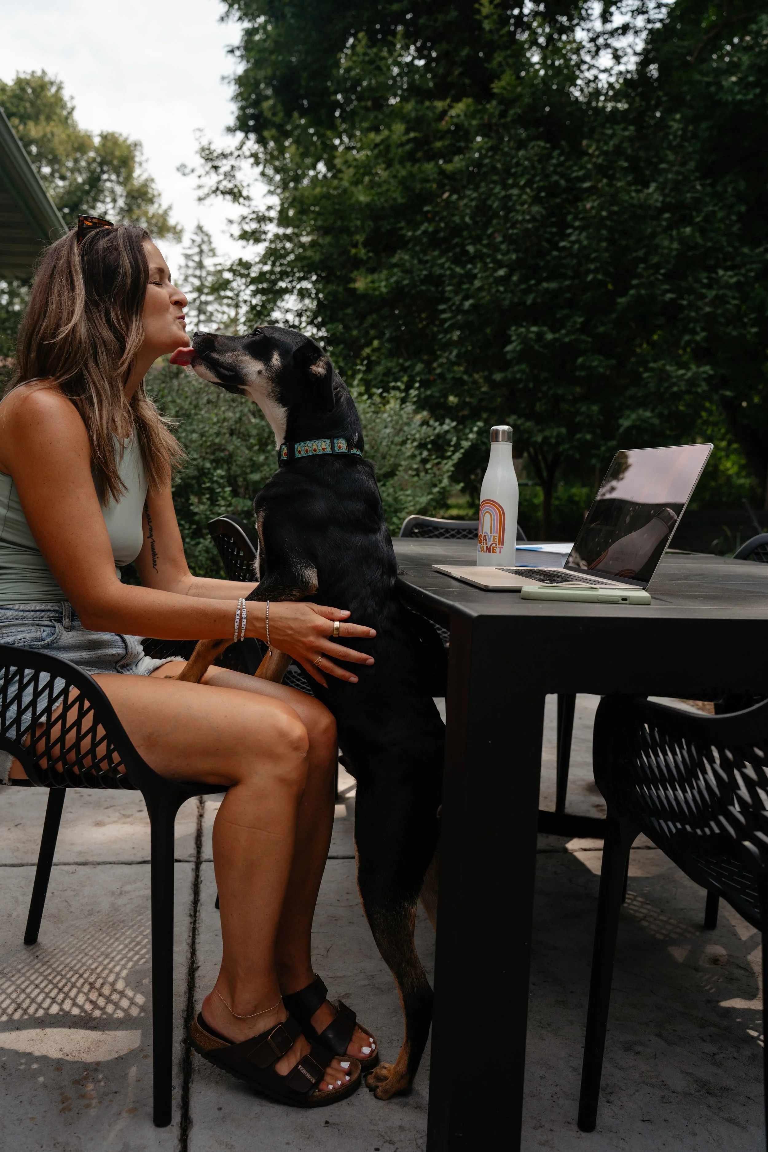 How My Rescue Pets Teach Me About Mindful Living 🐶🐱🐱