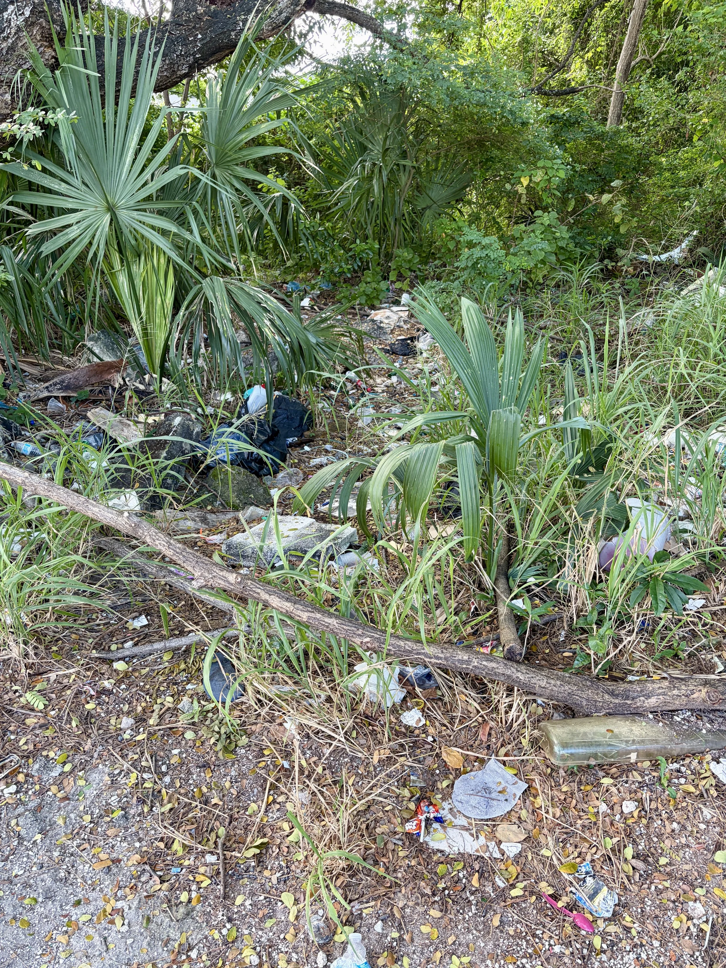 What Travel Teaches Us About Waste, Access, and Awareness