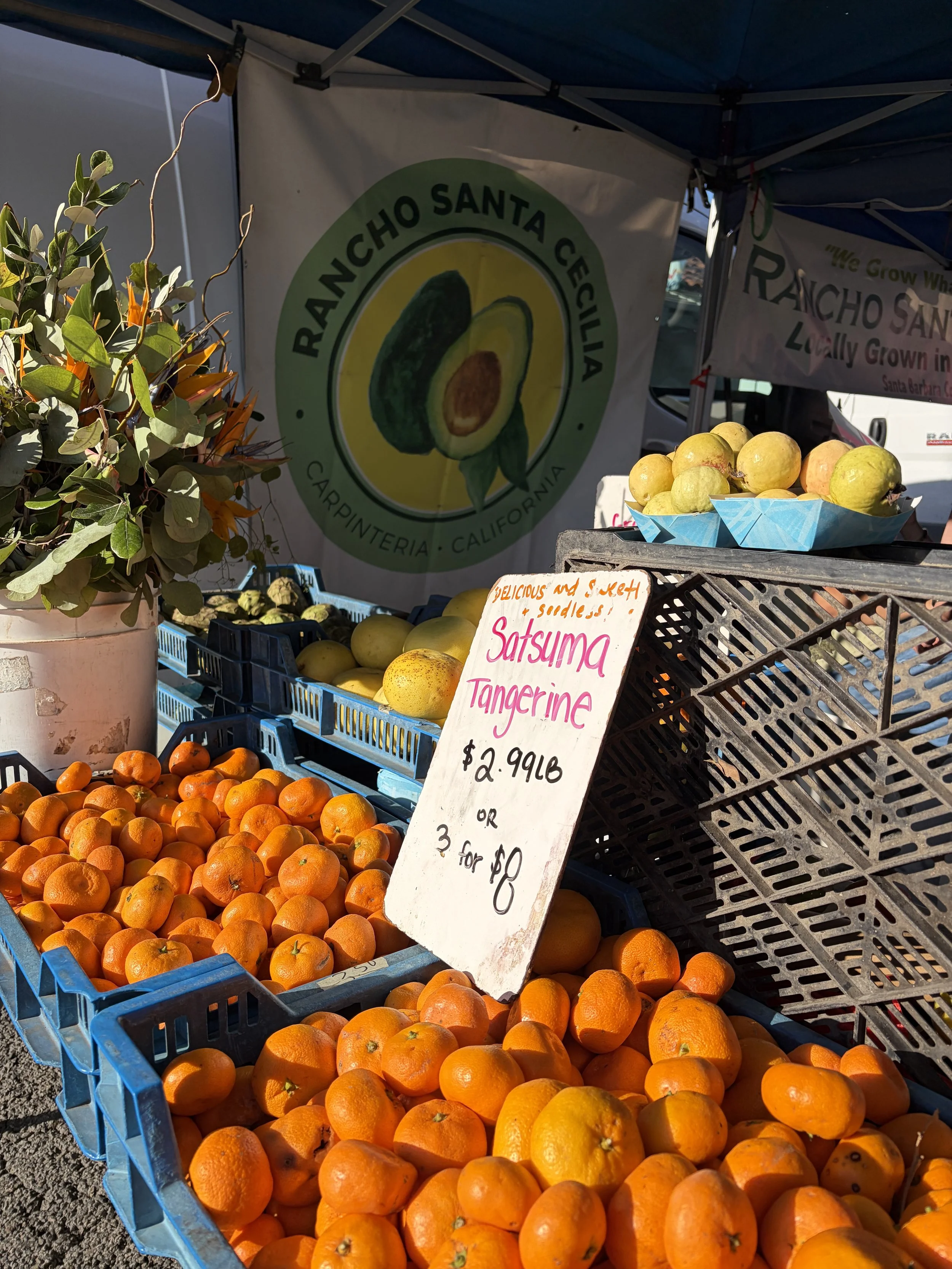 Why Shopping Your Local Farmers Market Matters