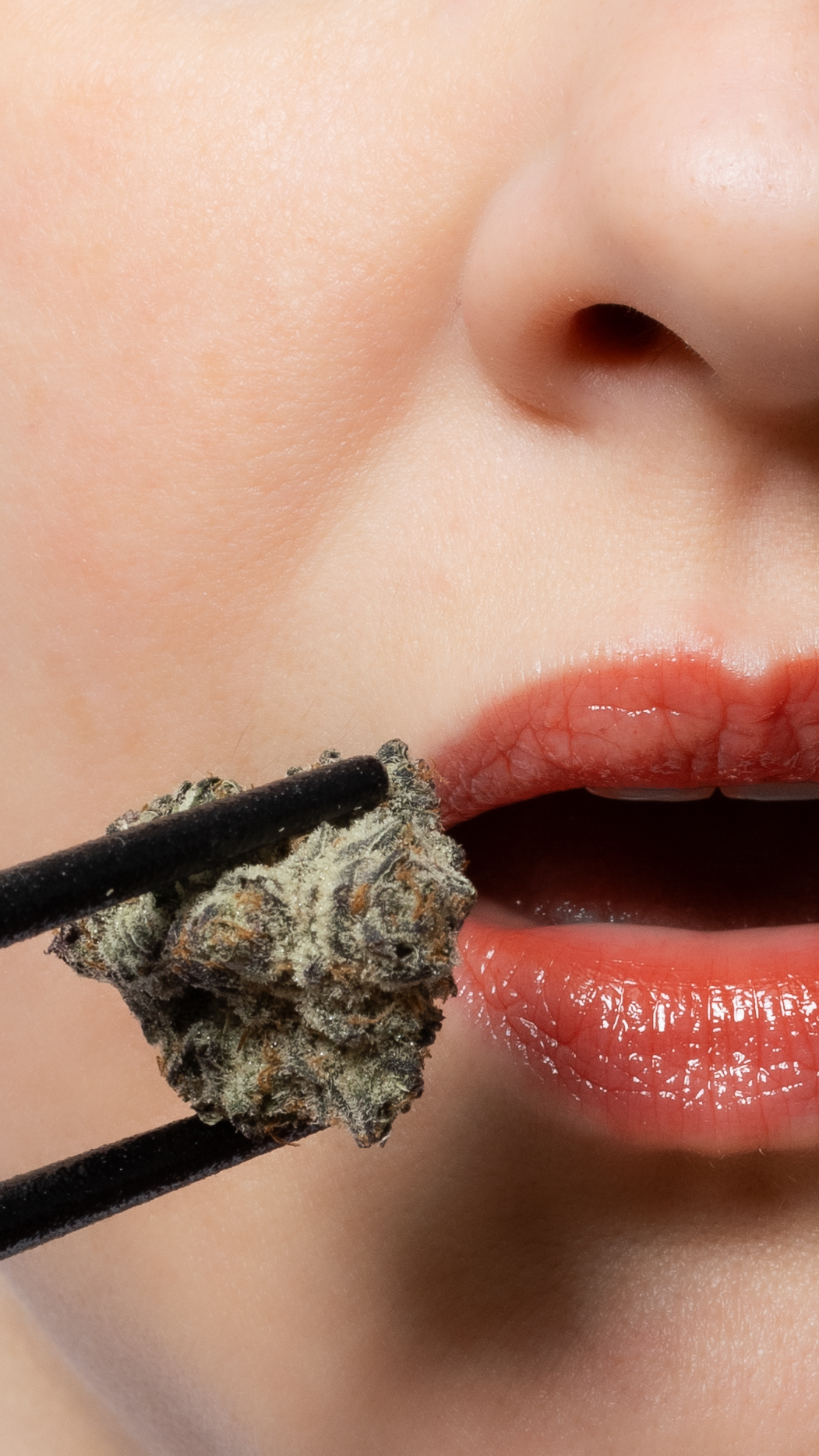 Banner - nugs + Chopcticks 2.PNG