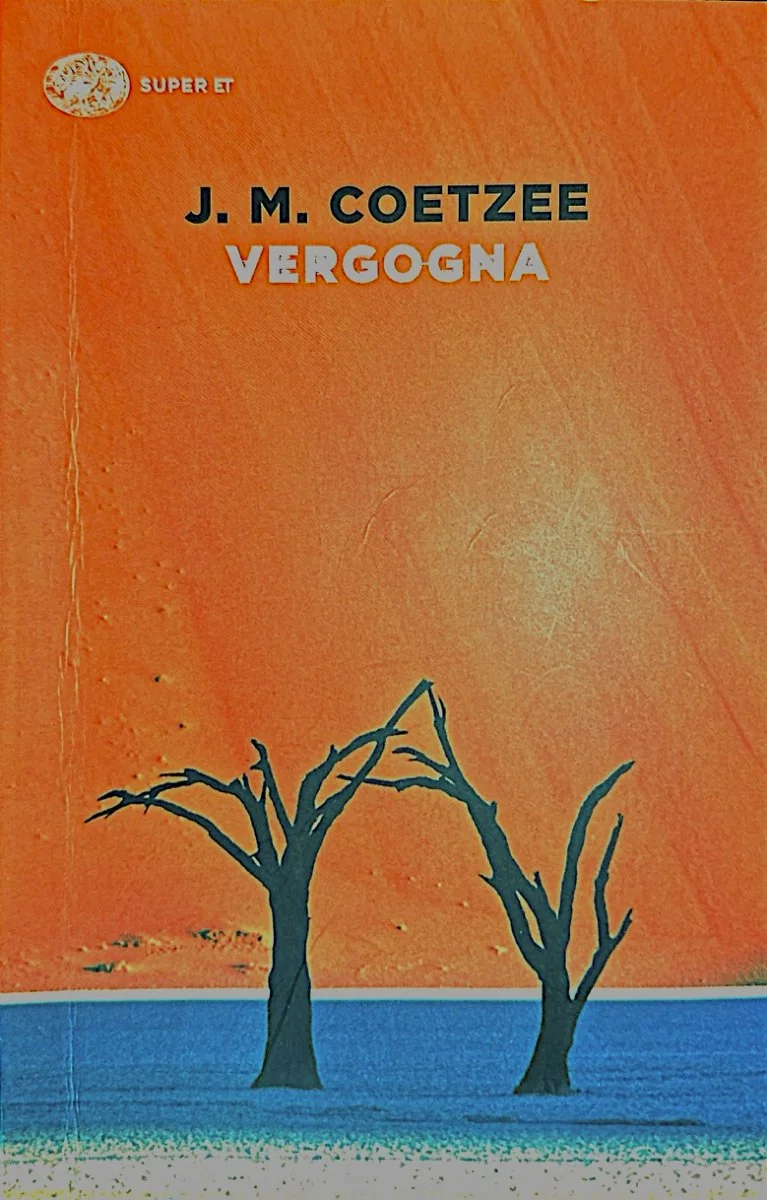 J. M. Coetzee Disgrace