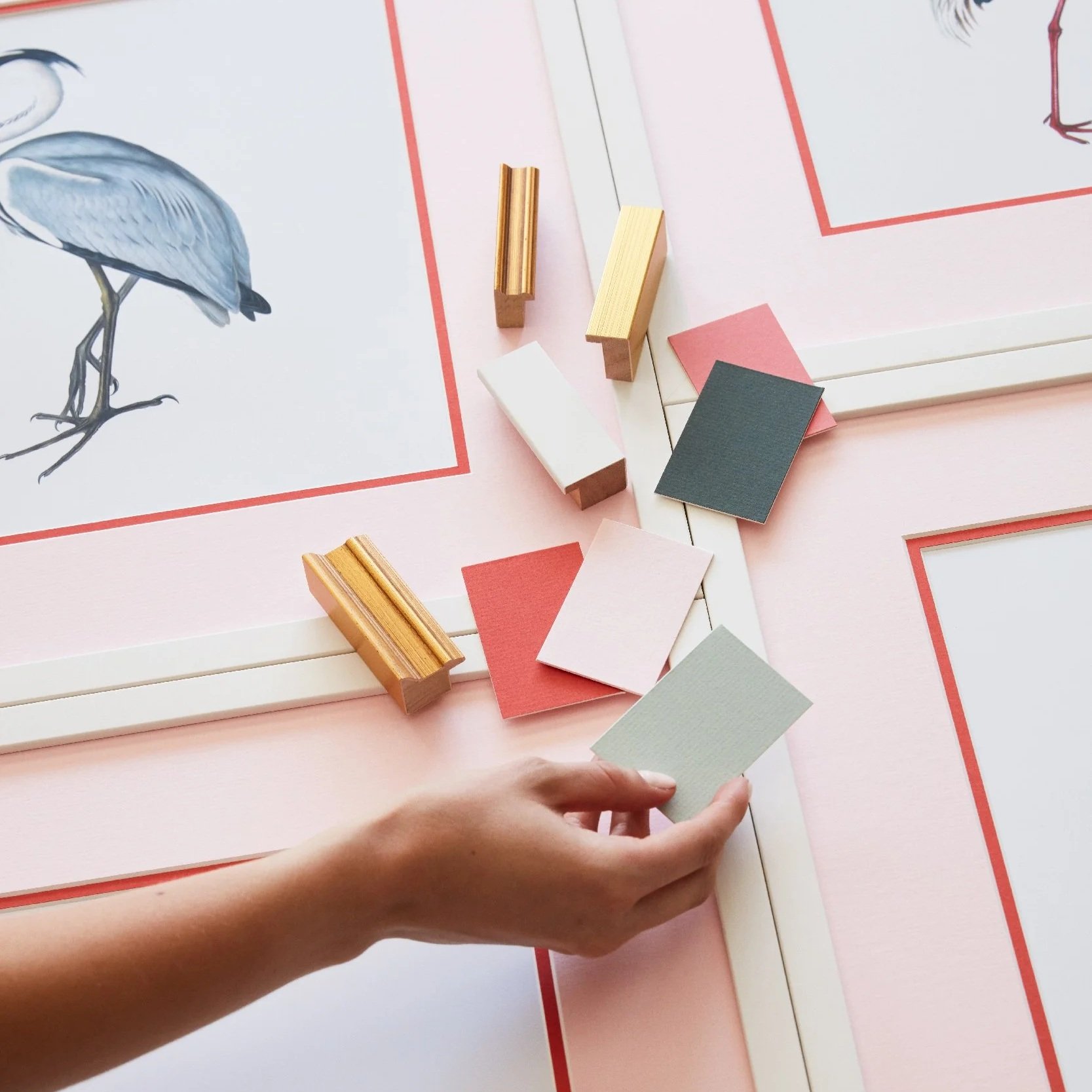 A hand holds a matboard color sample beside a selection of frame corners in gold and white finishes, laid out on pink matboards with framed bird illustrations, showcasing framing and matting options.